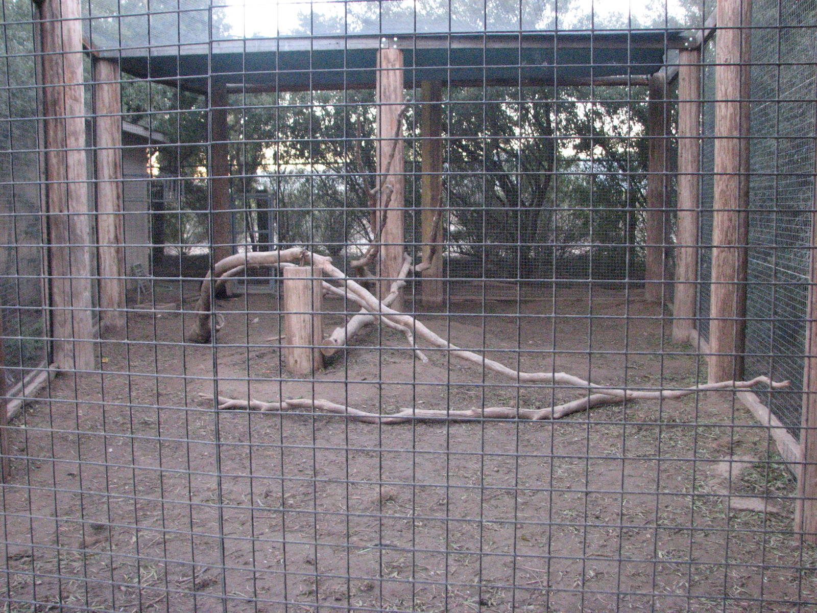 Black Mangabey Exhibit - Wildlife World Zoo