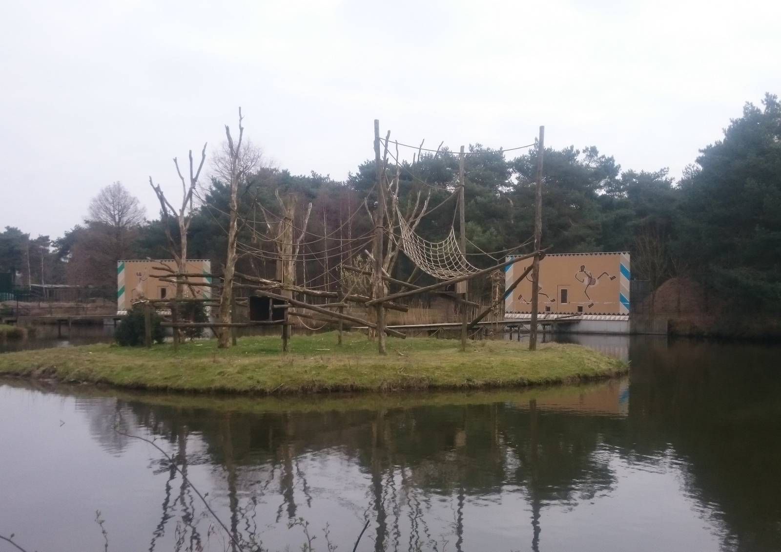 Black mangabey island