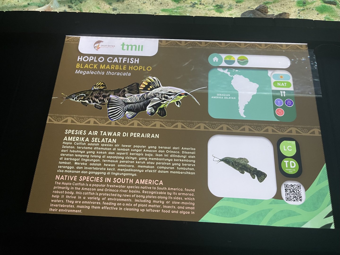 black marble hoplo signage - dunia air tawar