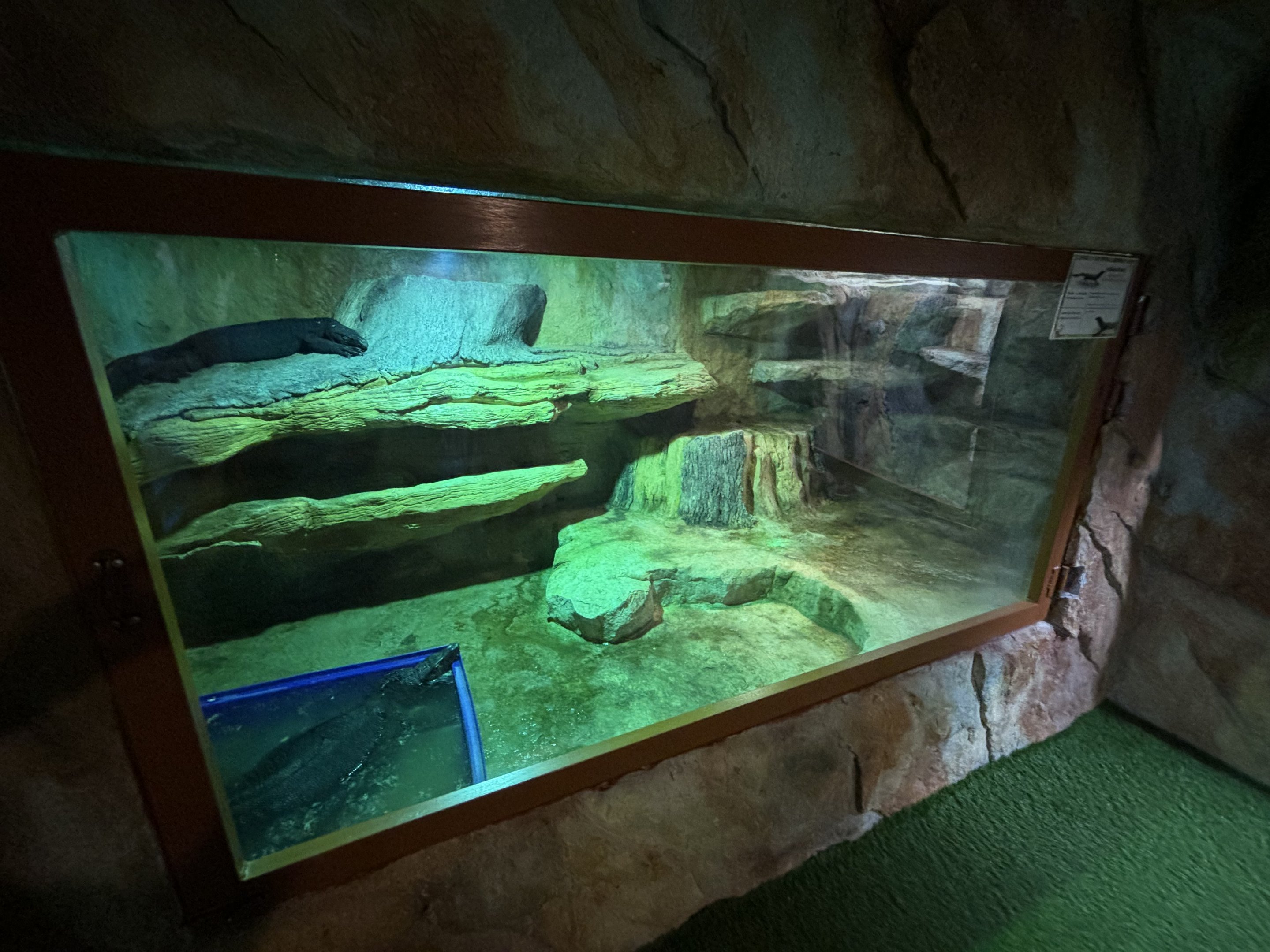 Black Monitor Exhibit