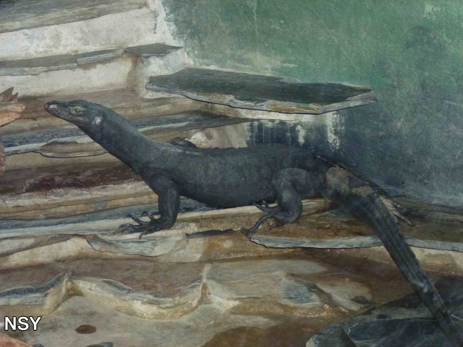 Black monitor, June 2013.