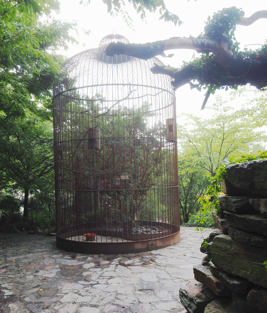 Black-naped oriole and Red-billed Leiothrix aviary, 2022-09-15