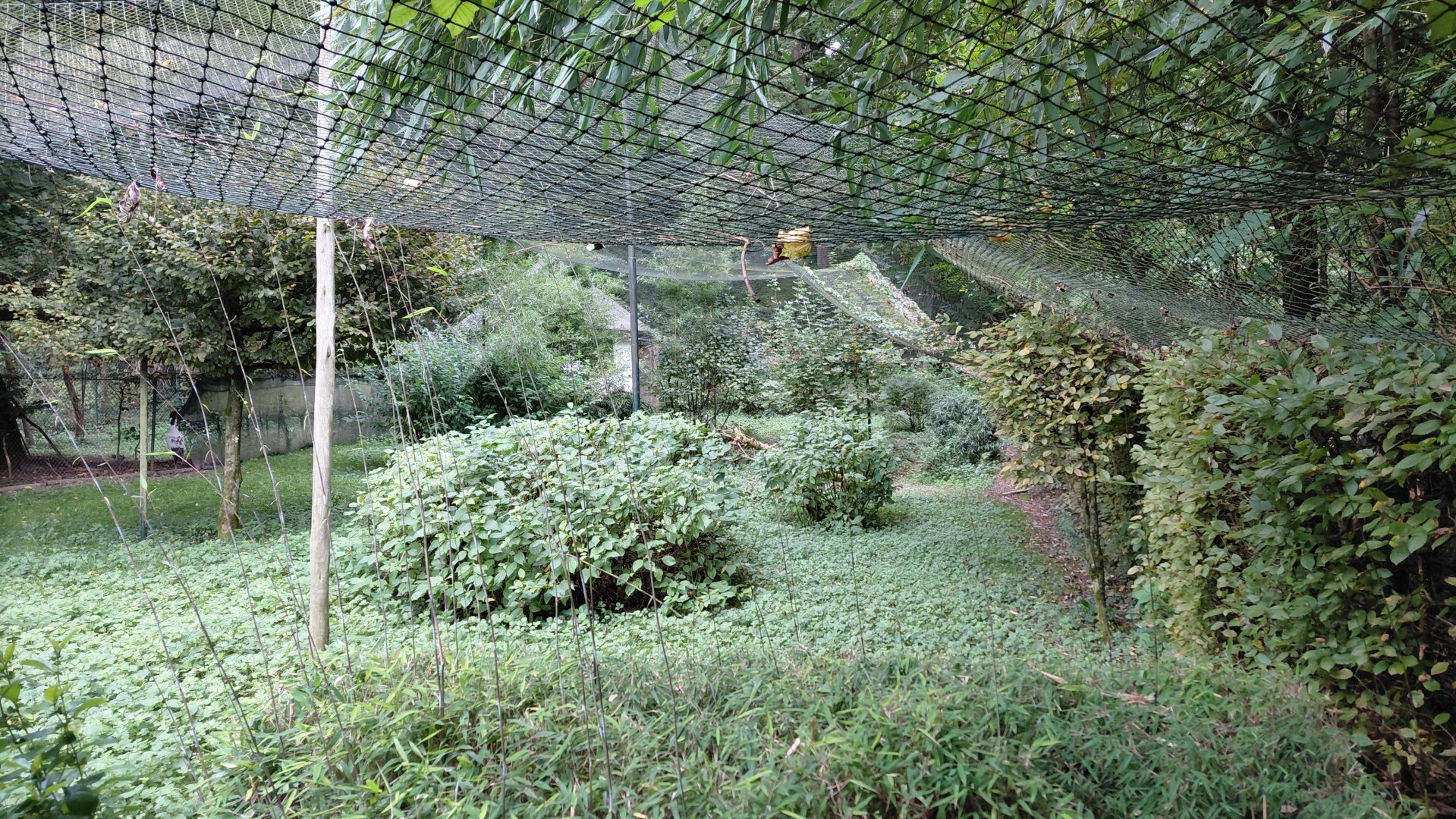 Black-necked crane aviary