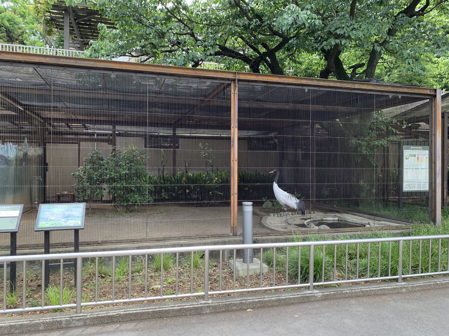 Black-necked Crane Enclosure
