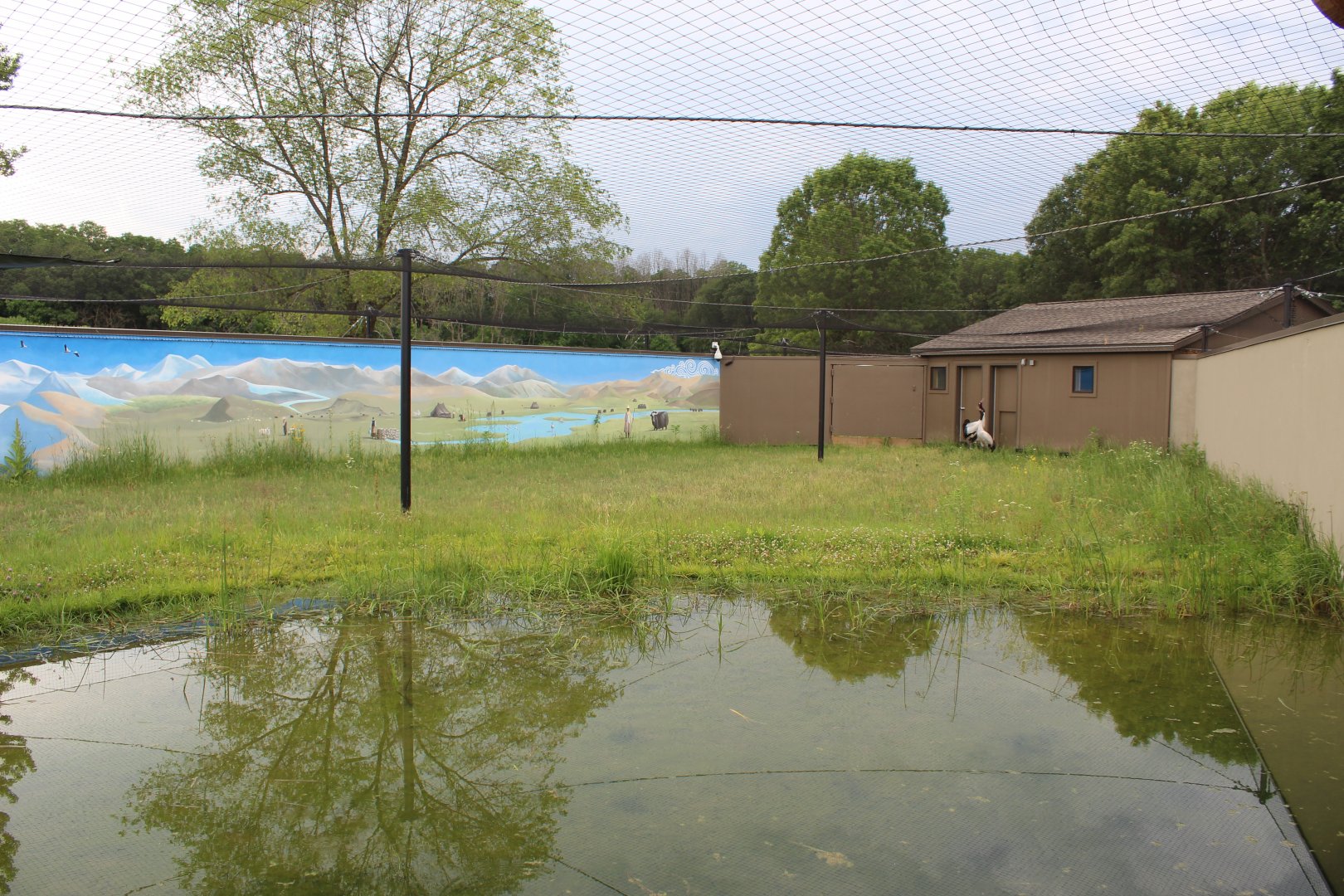 Black Necked Crane Exhibit