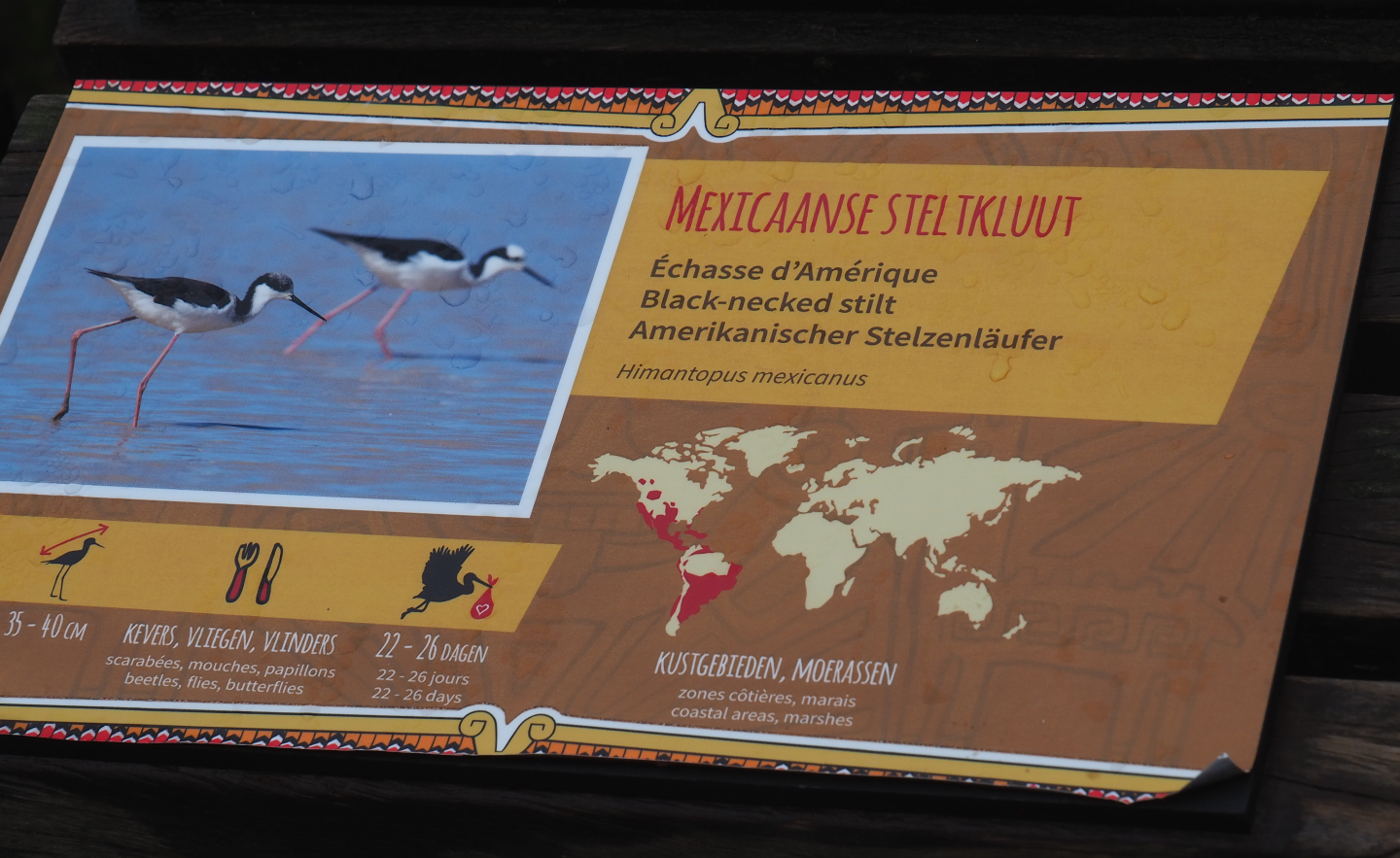 Black-necked stilt signage, 2021-11-06