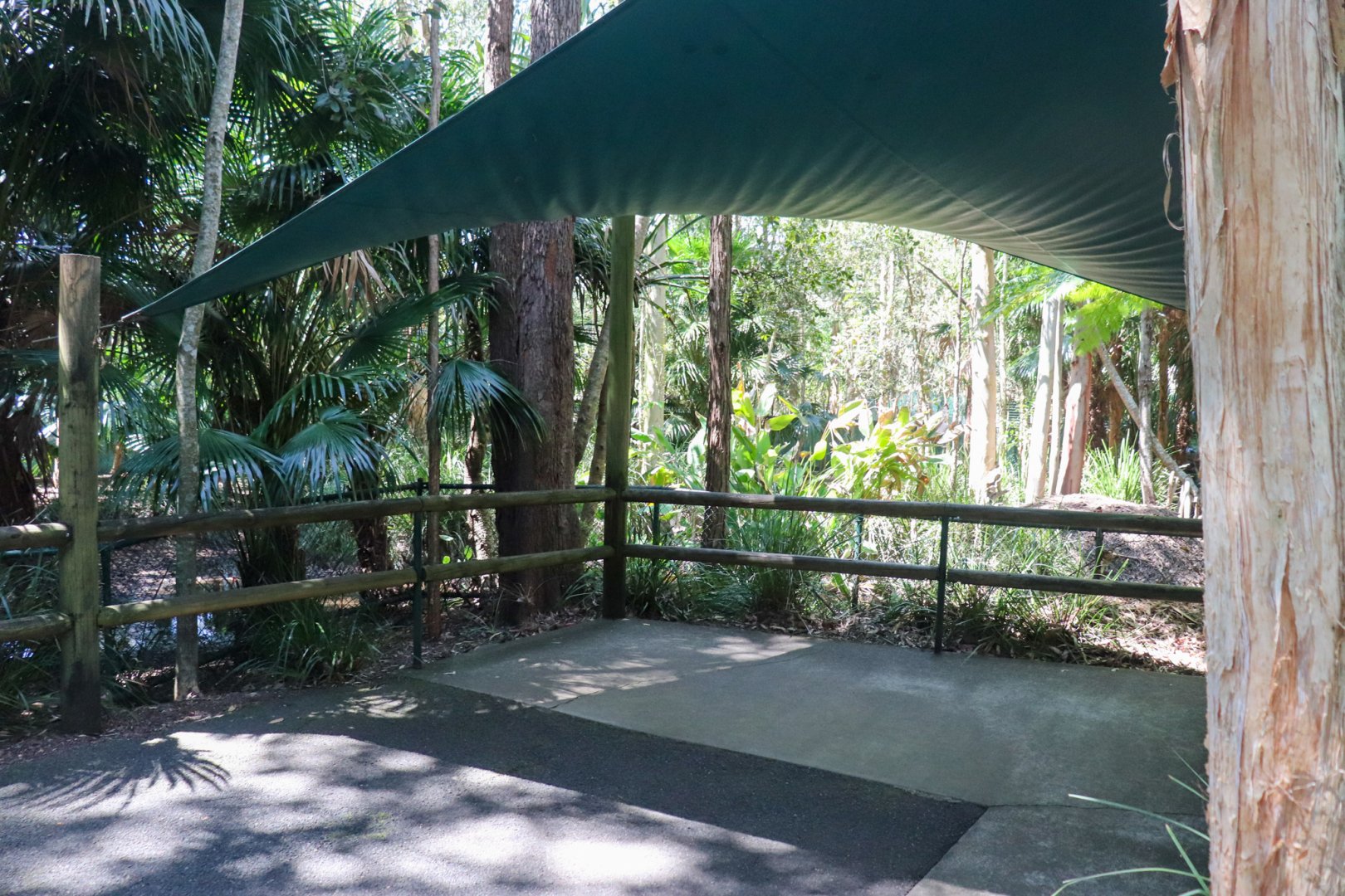 Black-necked Stork Enclosure - Viewing Area