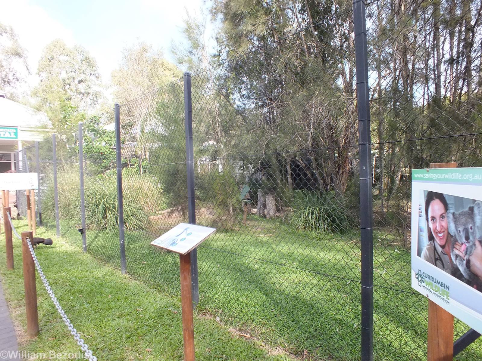 Black-necked Stork Enclosure