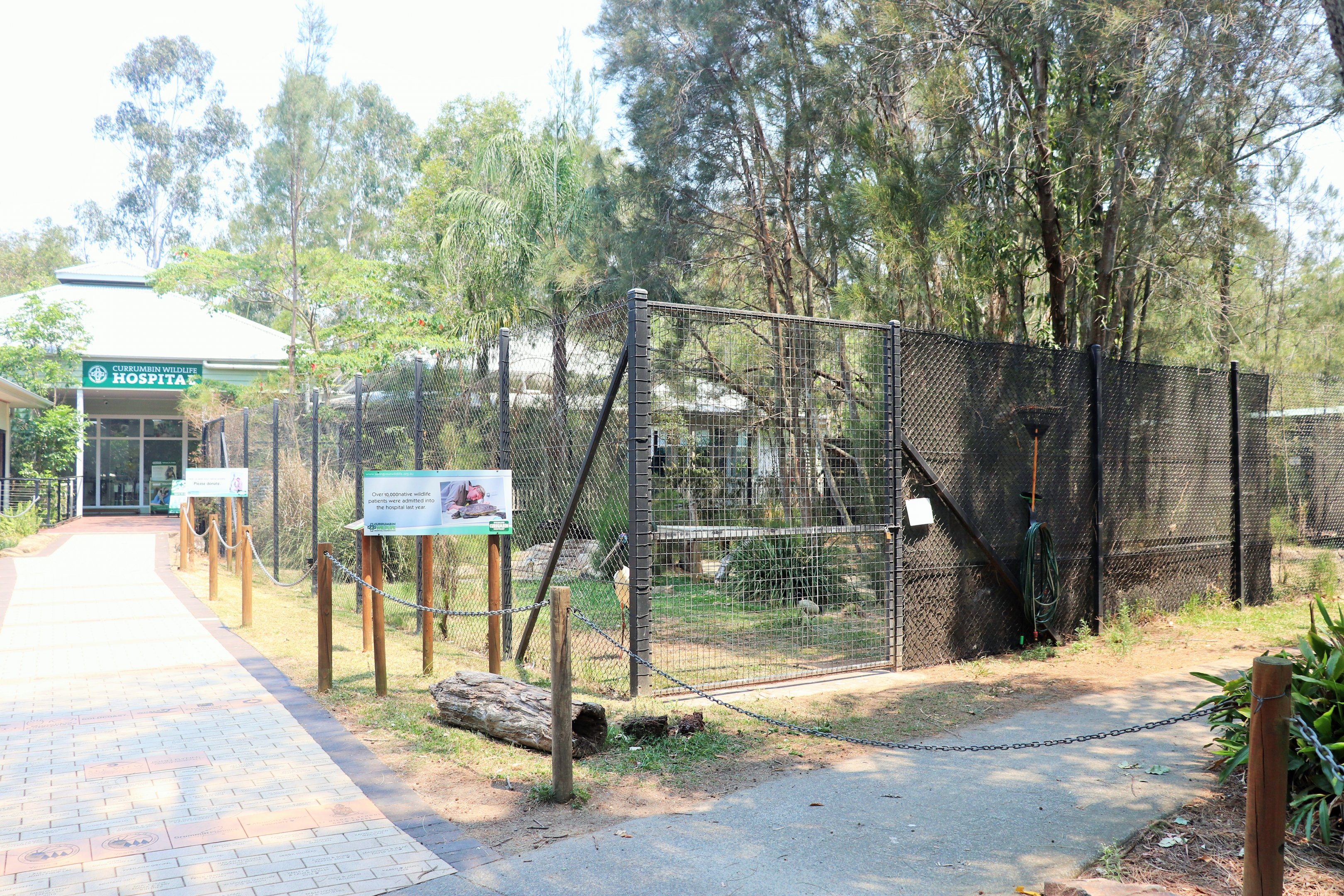 Black-necked Stork Enclosure