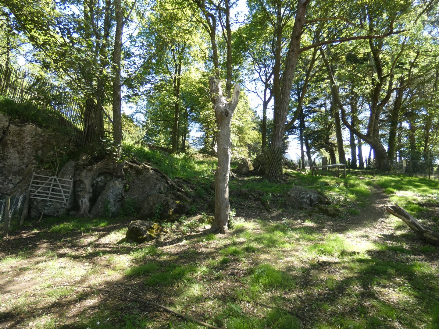Black-nose sheep enclosure