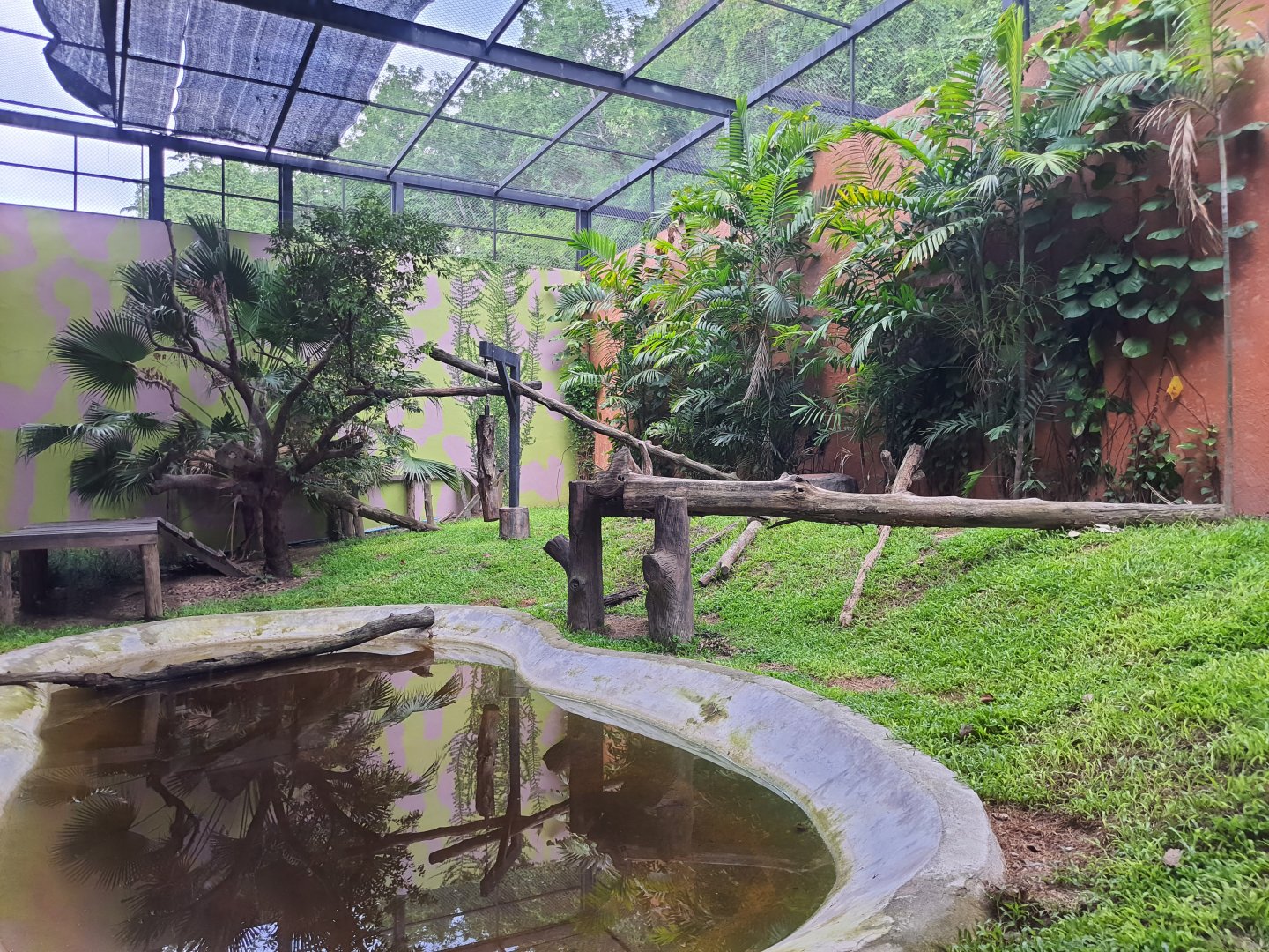 Black Panther Exhibit- Cat Complex