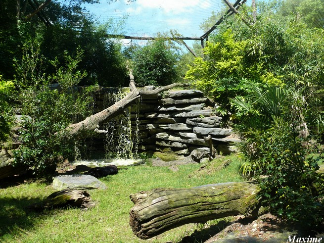 Black panther exhibit - Zoo de la Flèche