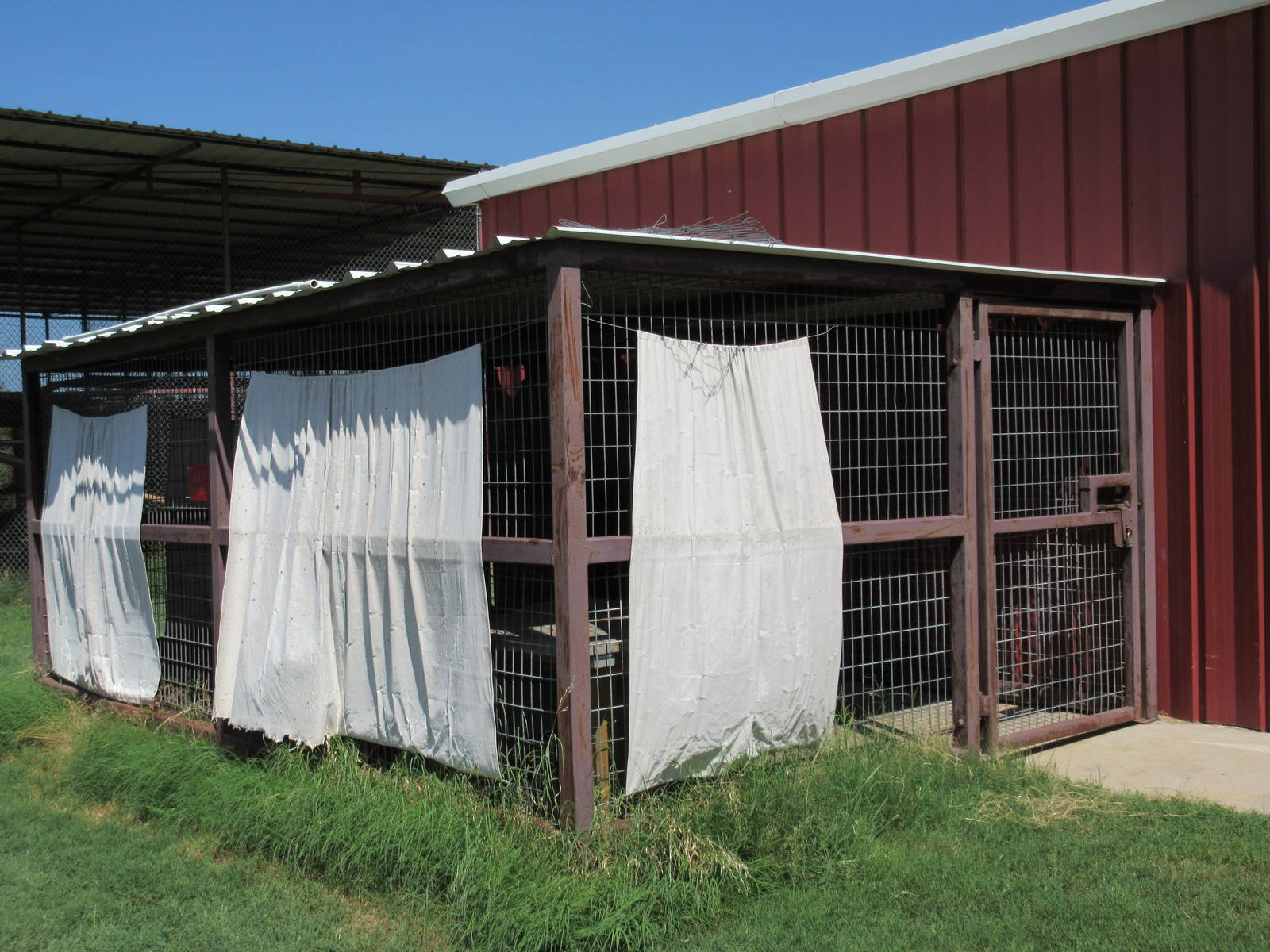 Black Panther Exhibit