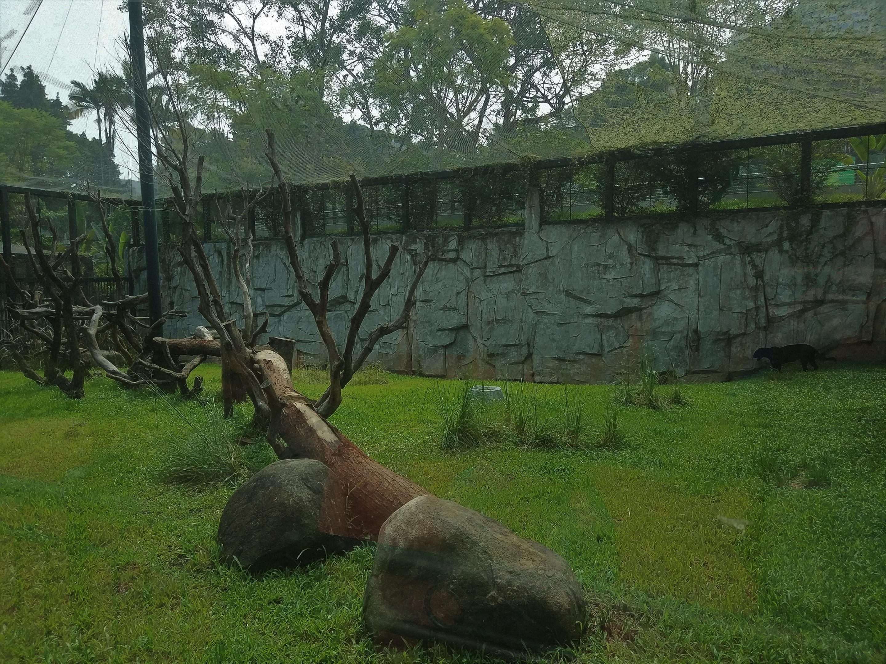 Black Panther Exhibit