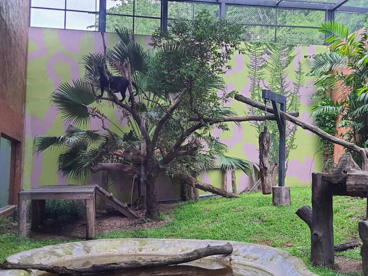 Black Panther Exhibit