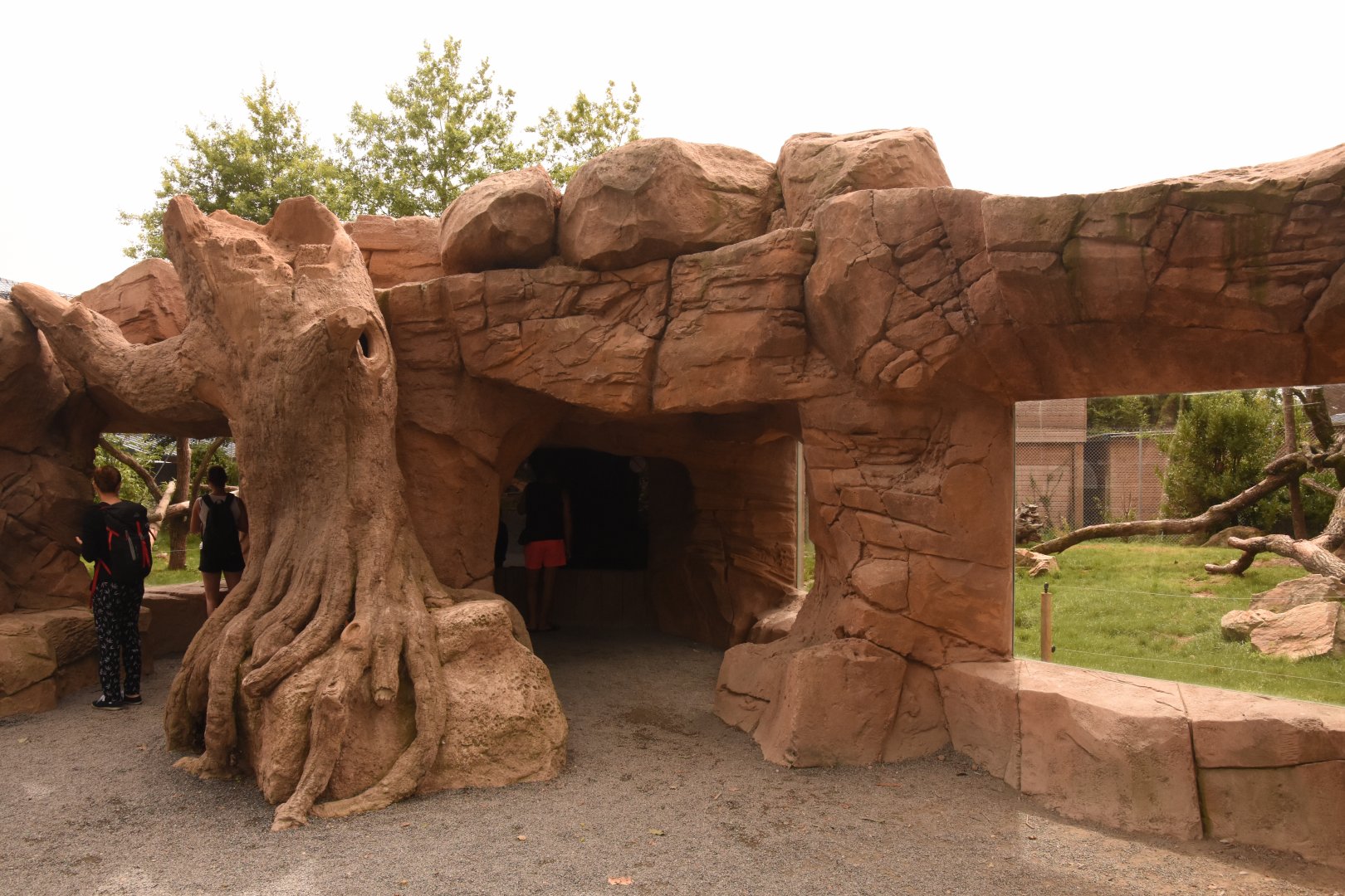 Black Panther viewing