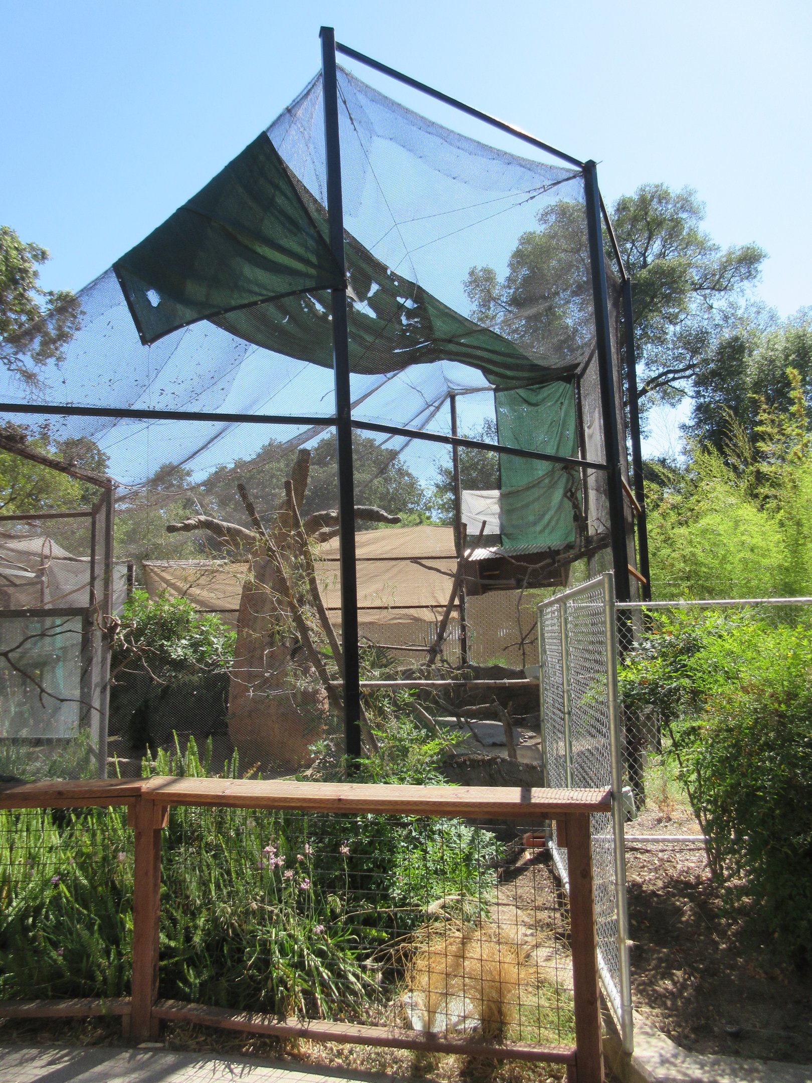 Black Parrot/Radiated Tortoise Exhibit