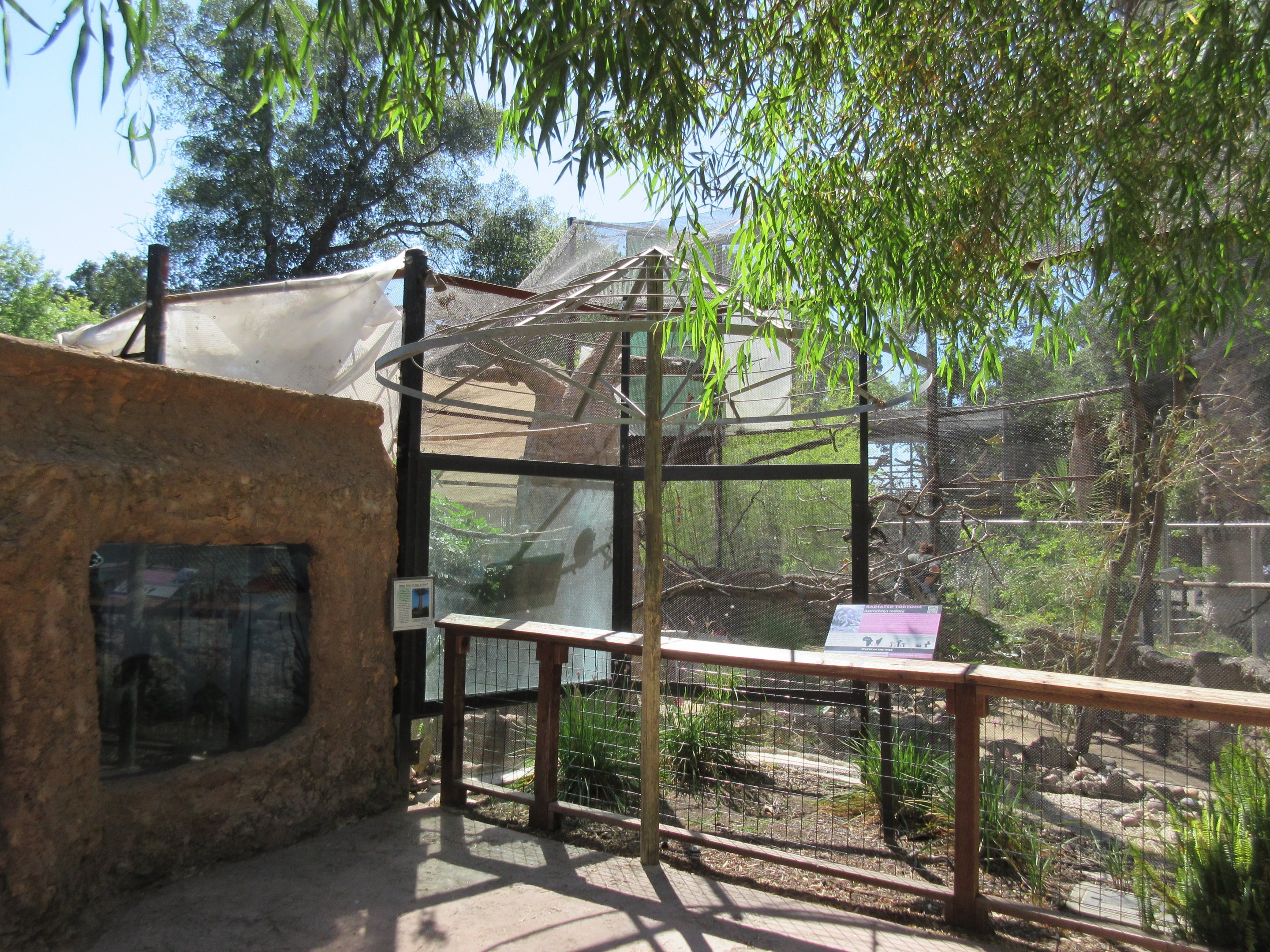 Black Parrot/Radiated Tortoise Exhibit