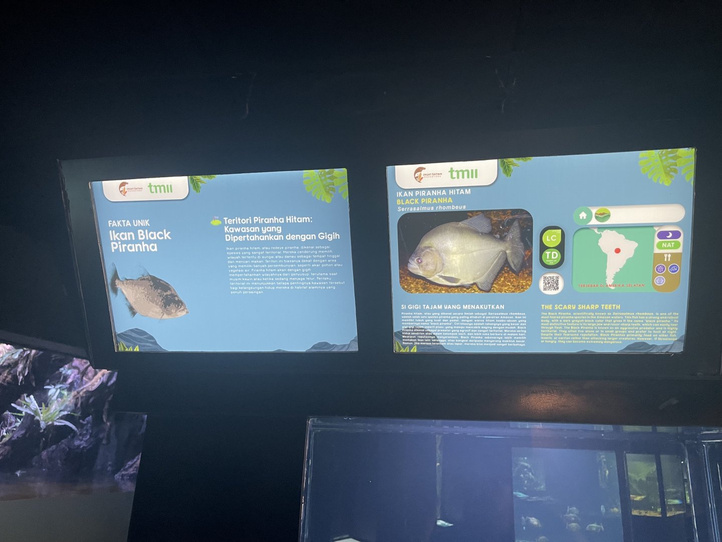 black piranha signage - dunia air tawar