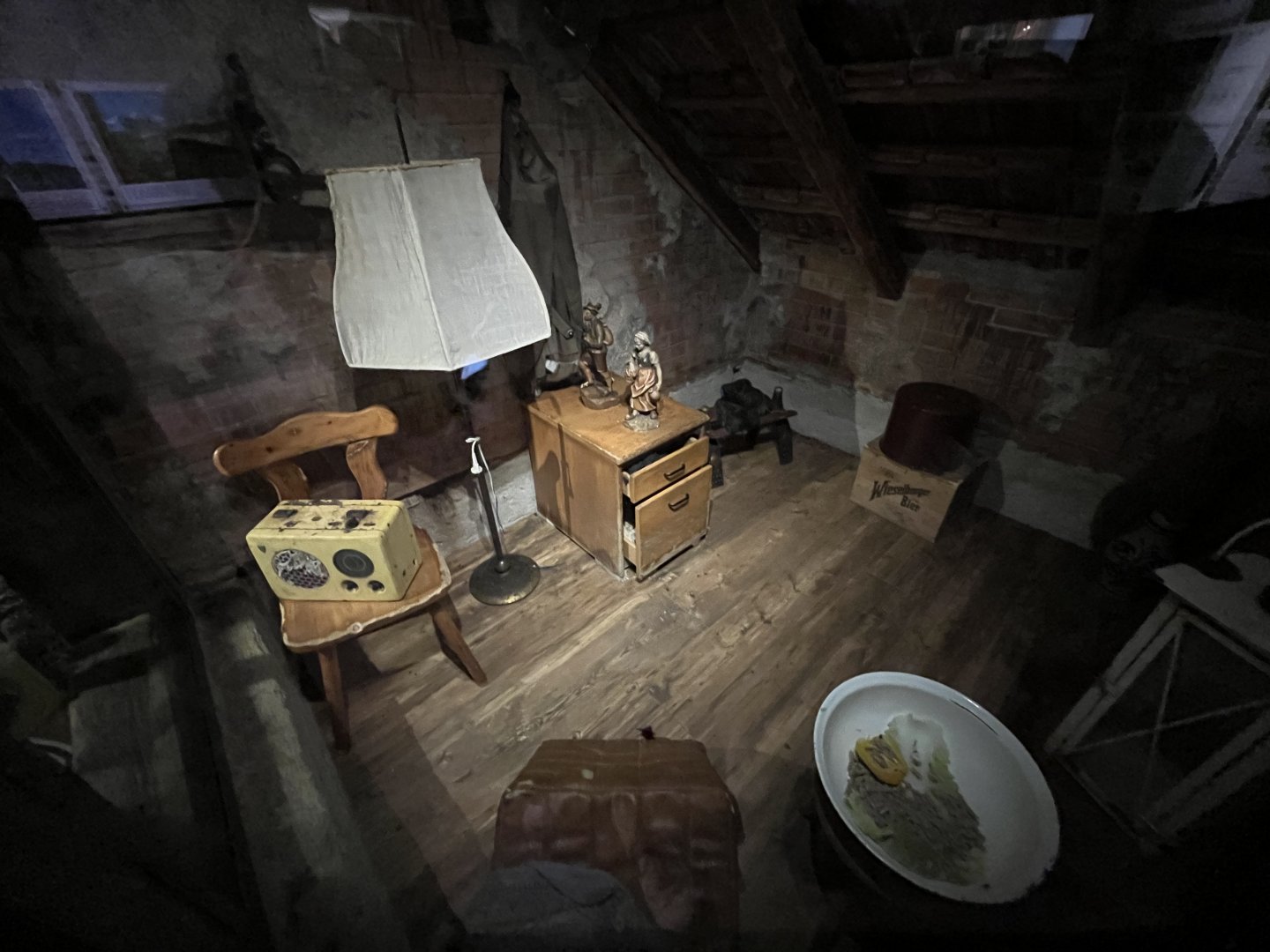 Black rat enclosure 13.7.25