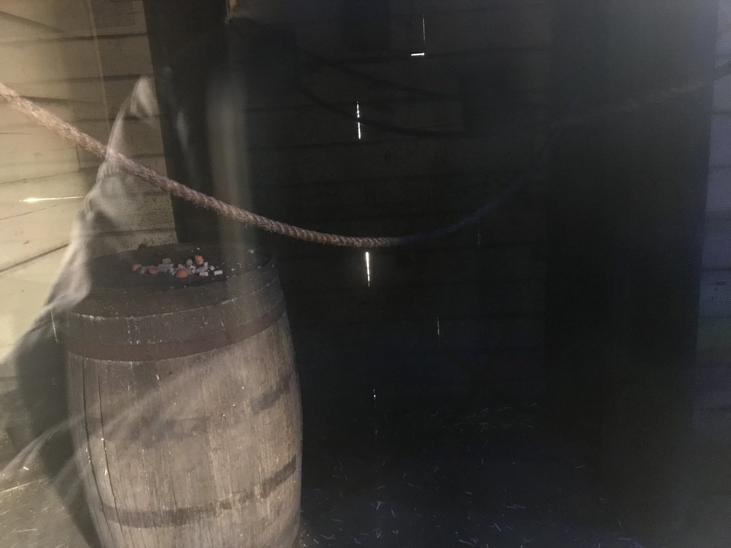 Black rat enclosure (2)