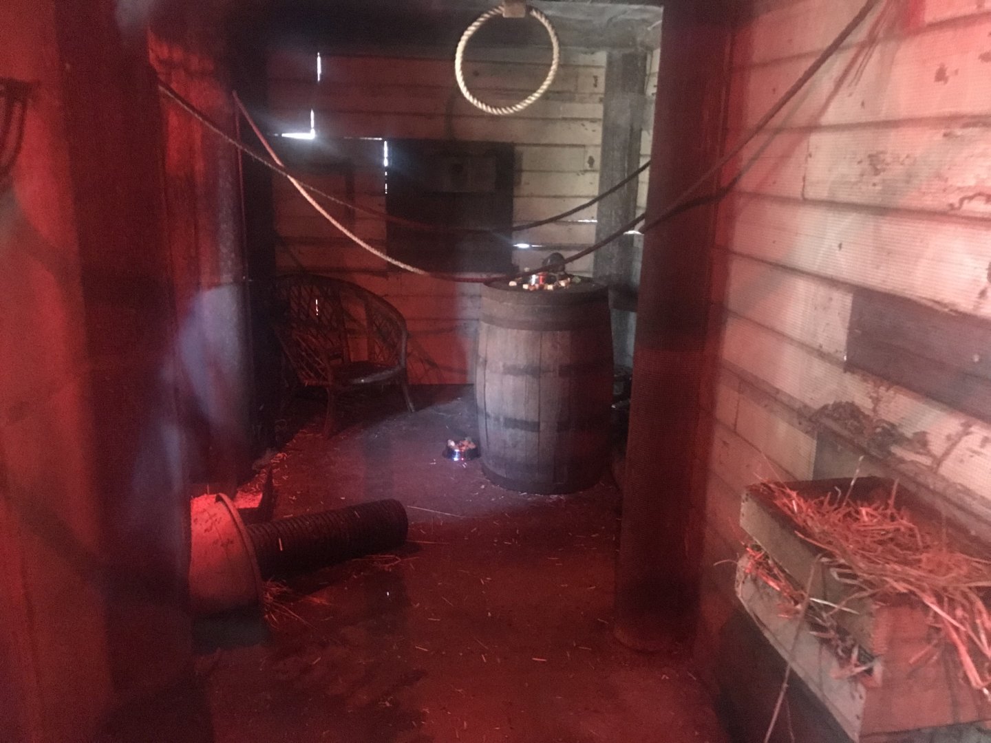 Black rat enclosure (2)