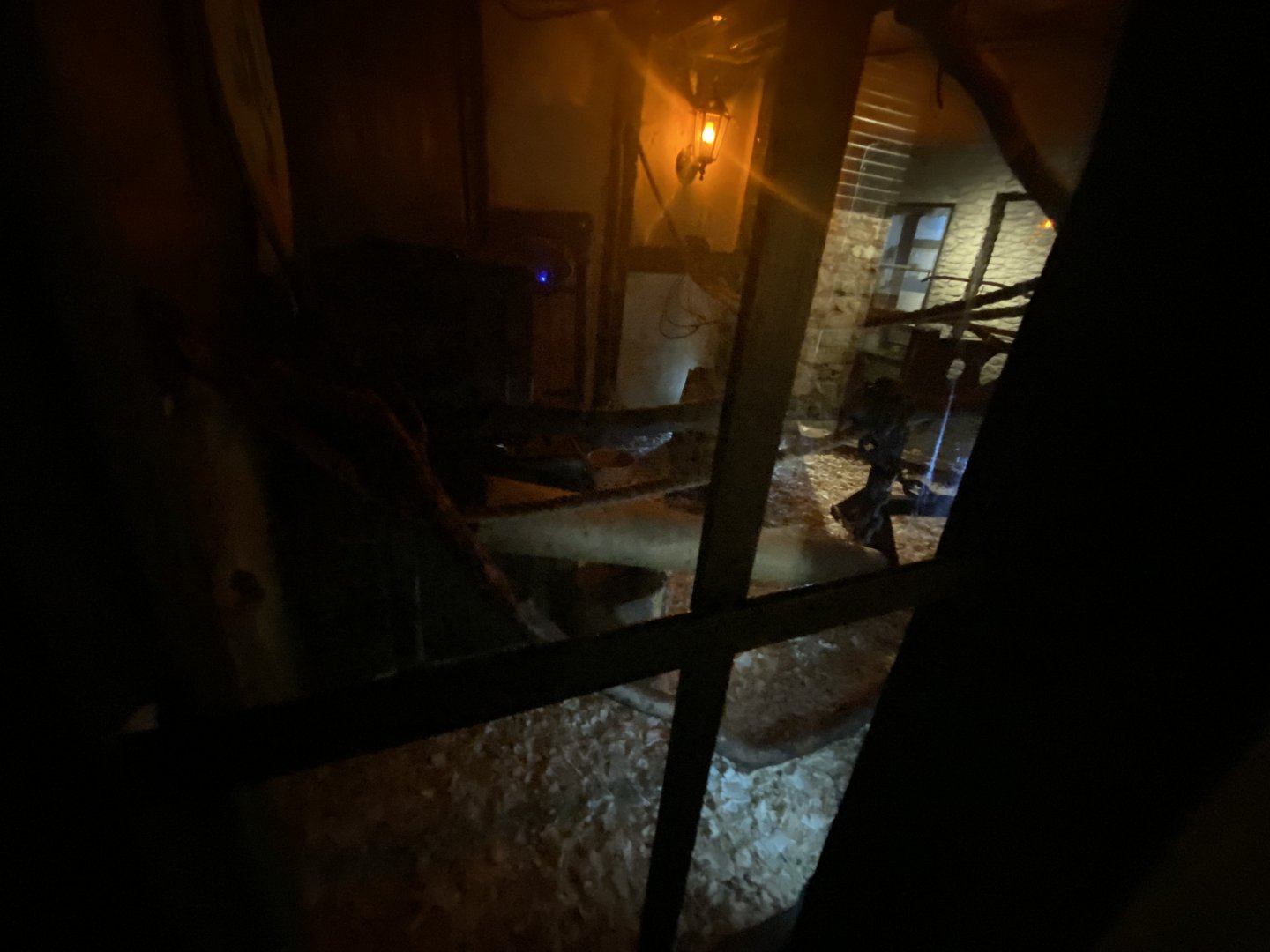 Black rat enclosure 2nd viewing area