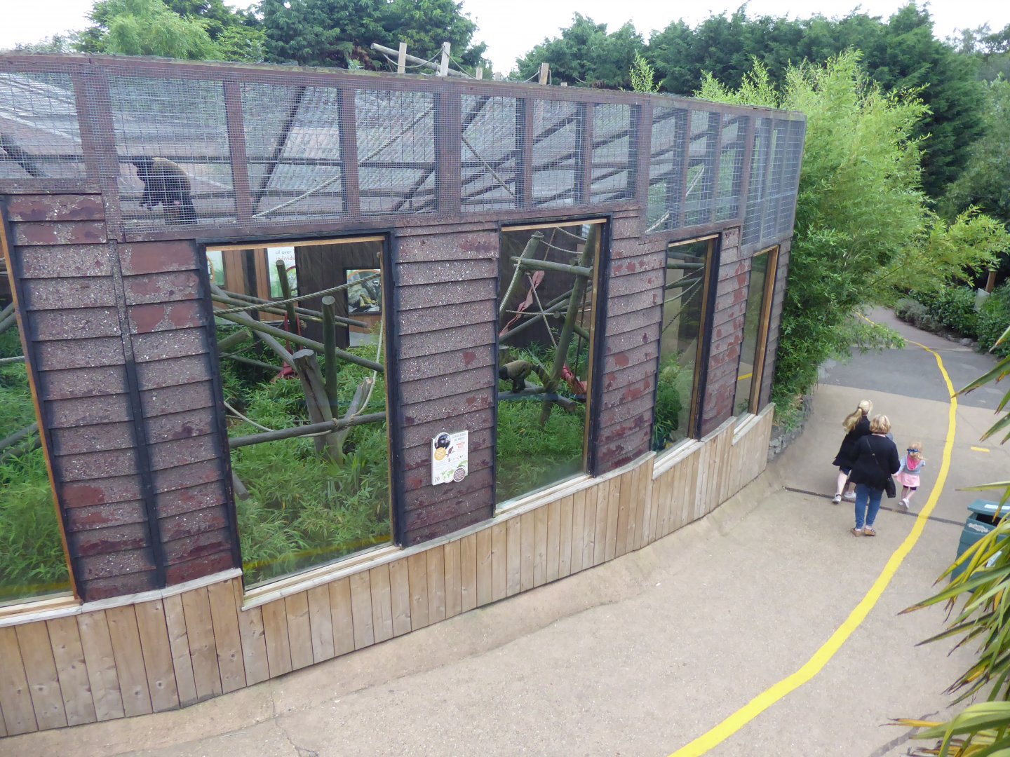 Black/Red-backed saki enclosure 050819