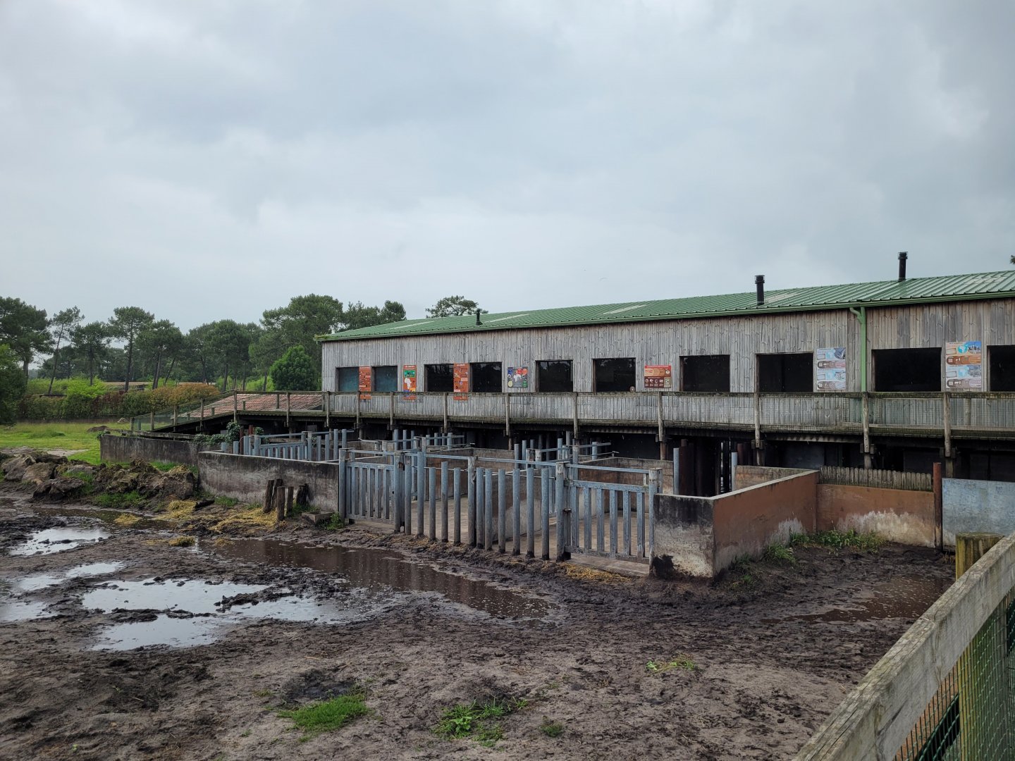 Black rhino and giraffe house -Zoo du bassin d'Arcachon (2024)