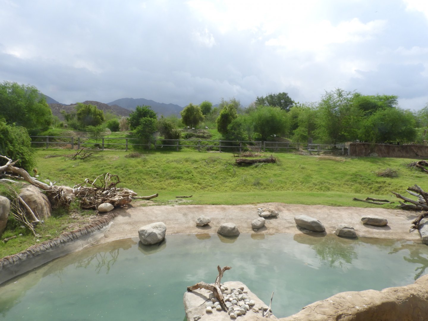 Black rhino and mixed African species enclosure