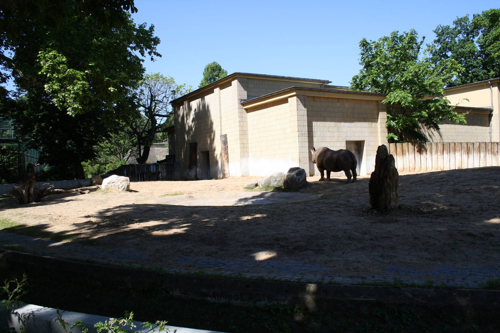 Black rhino area - 4 June 2010