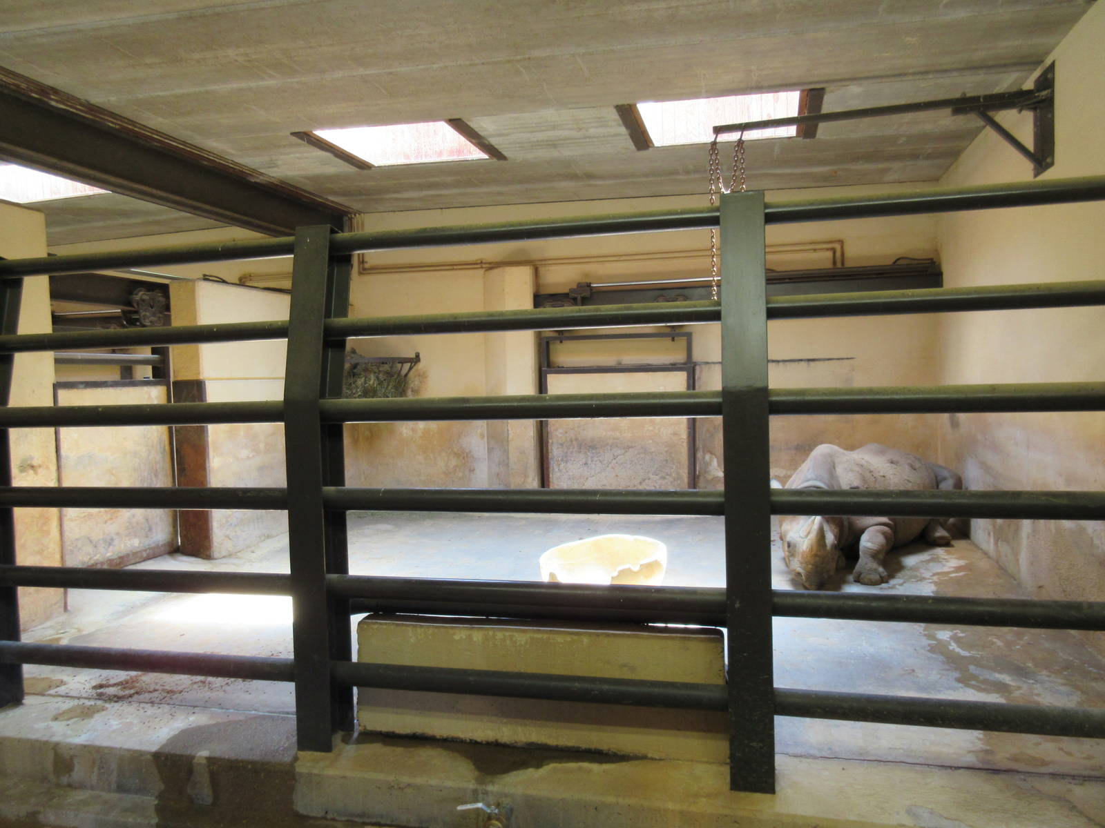 Black Rhino Barn (5 stalls in total)