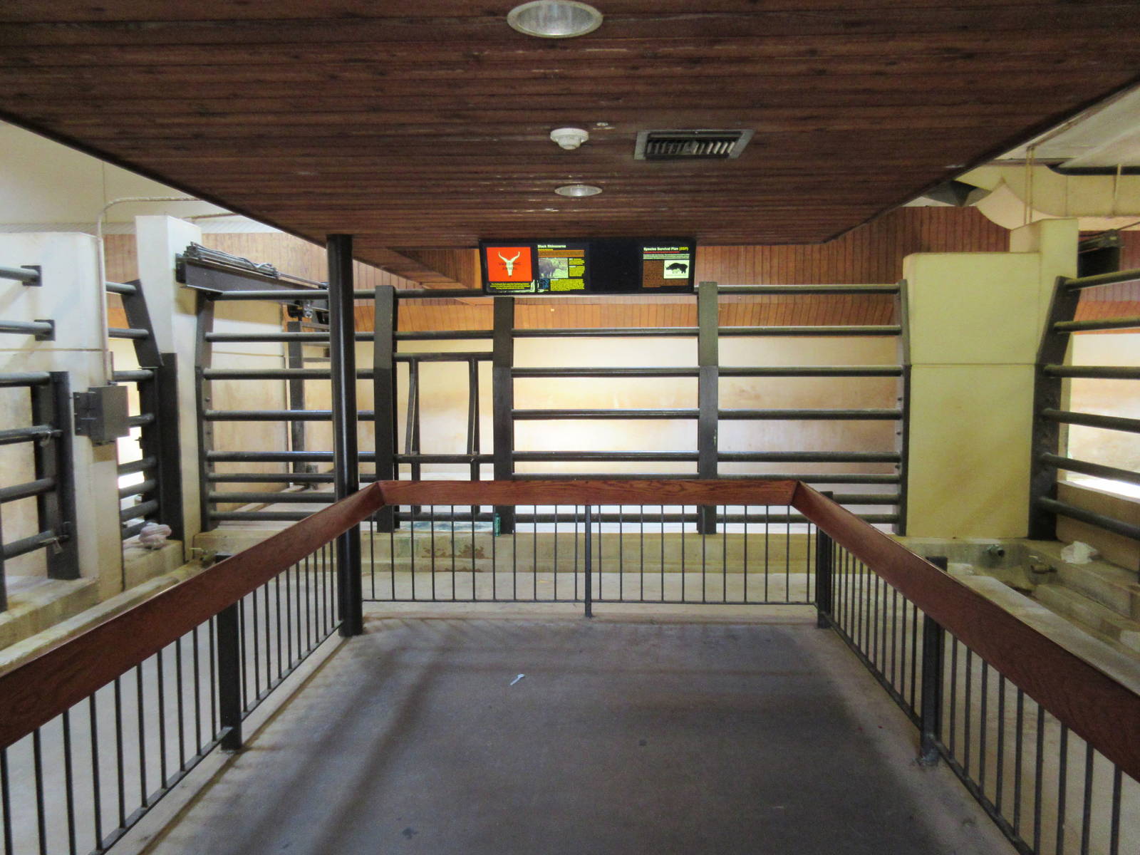 Black Rhino Barn (5 stalls in total)