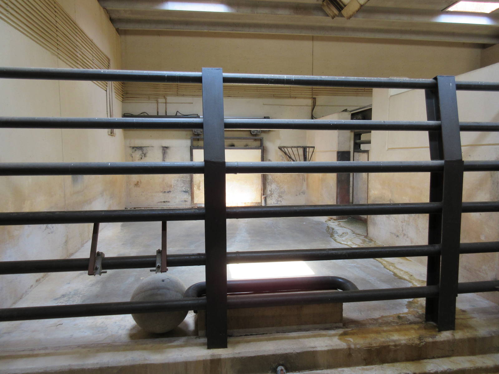 Black Rhino Barn (5 stalls in total)