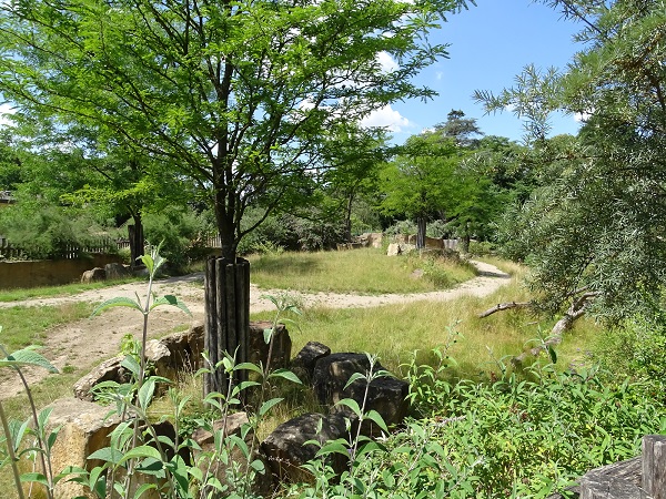Black rhino enclosure (07/22)
