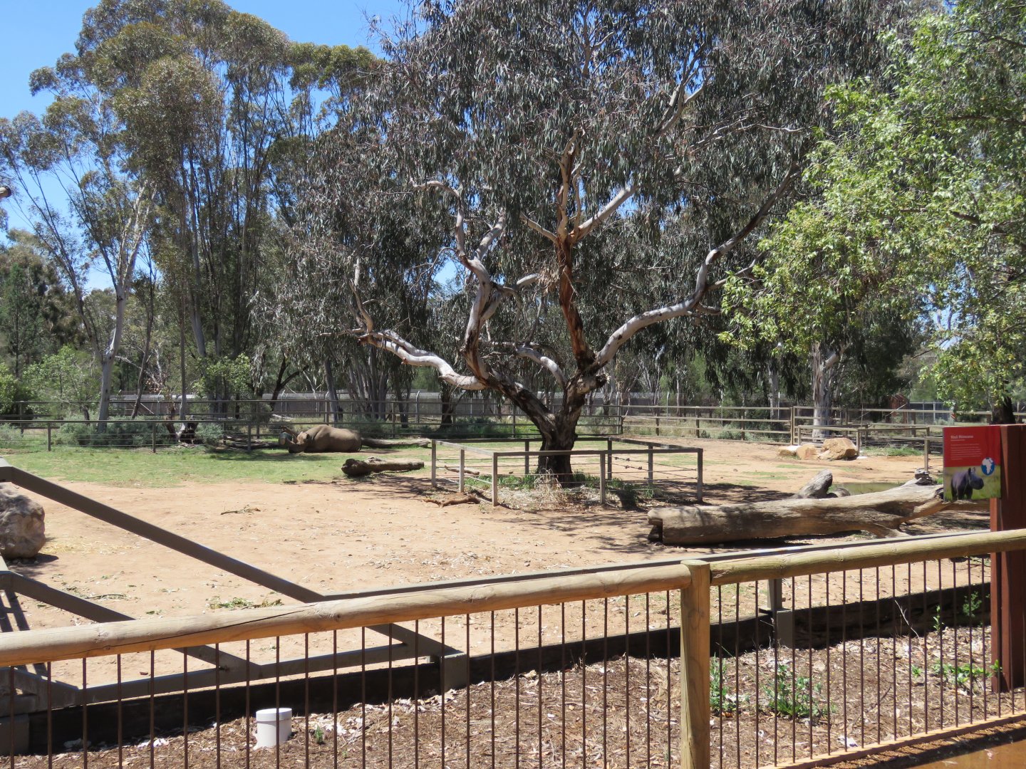 Black Rhino Enclosure