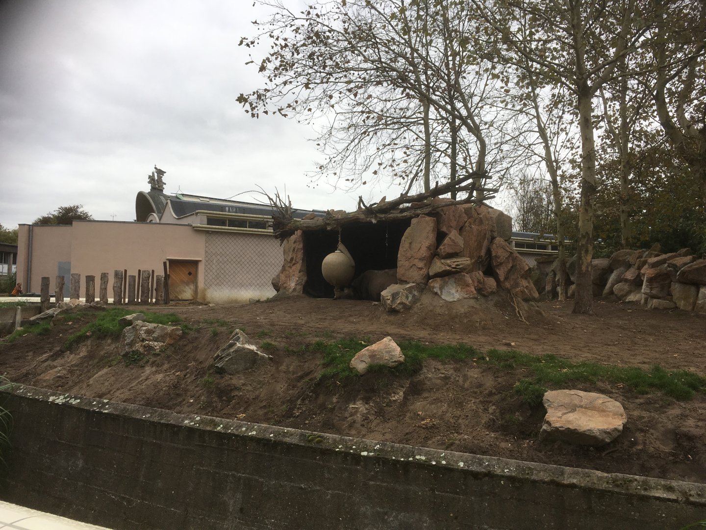 Black rhino enclosure