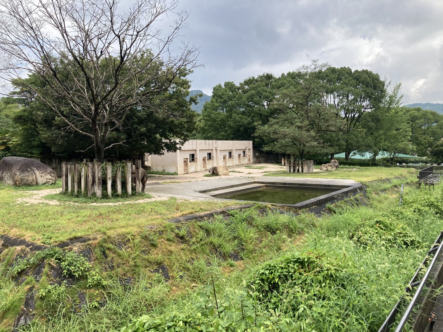 Black rhino enclosure