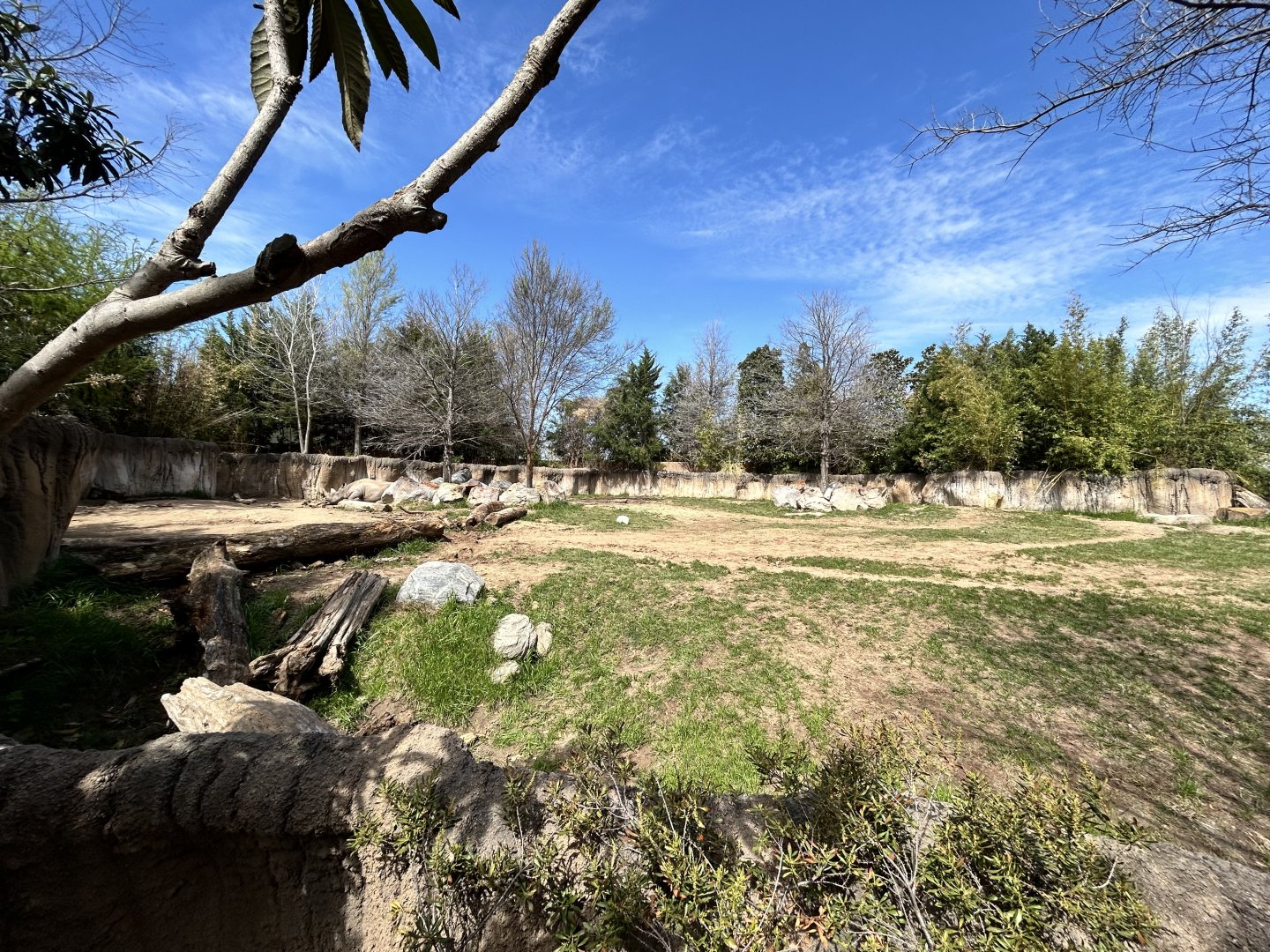 Black Rhino Enclosure