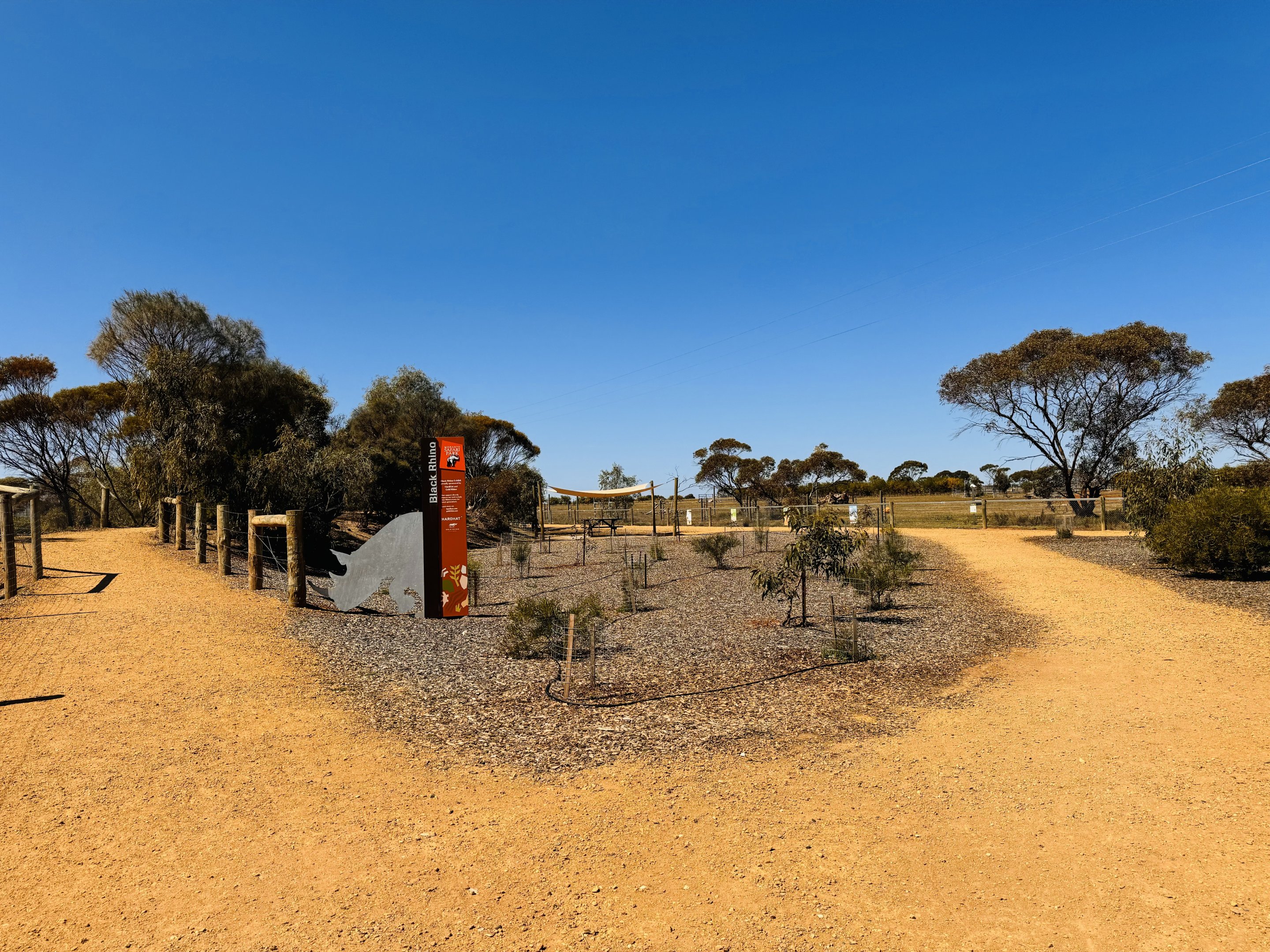 Black rhino enclosure