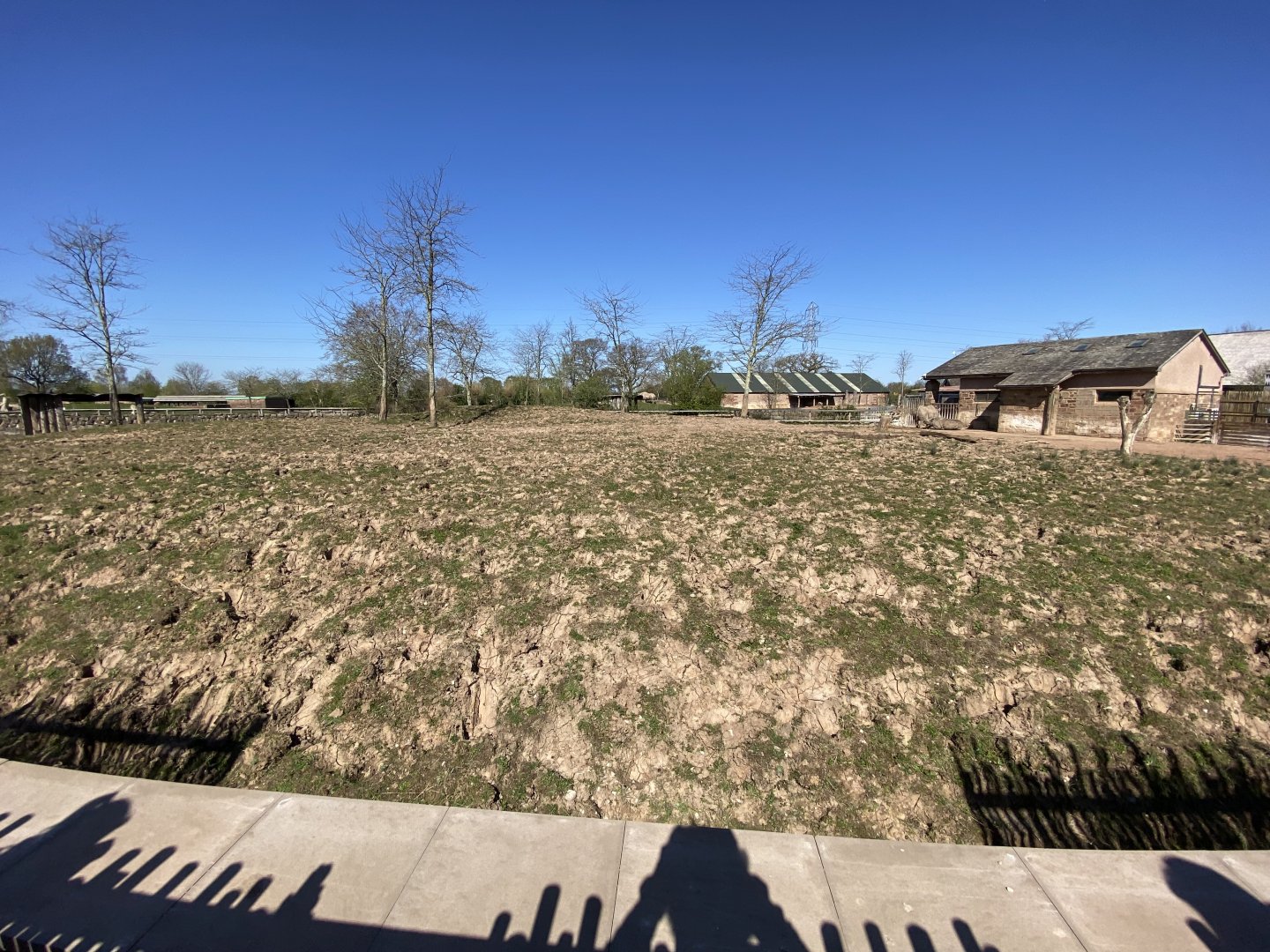 Black rhino enclosure