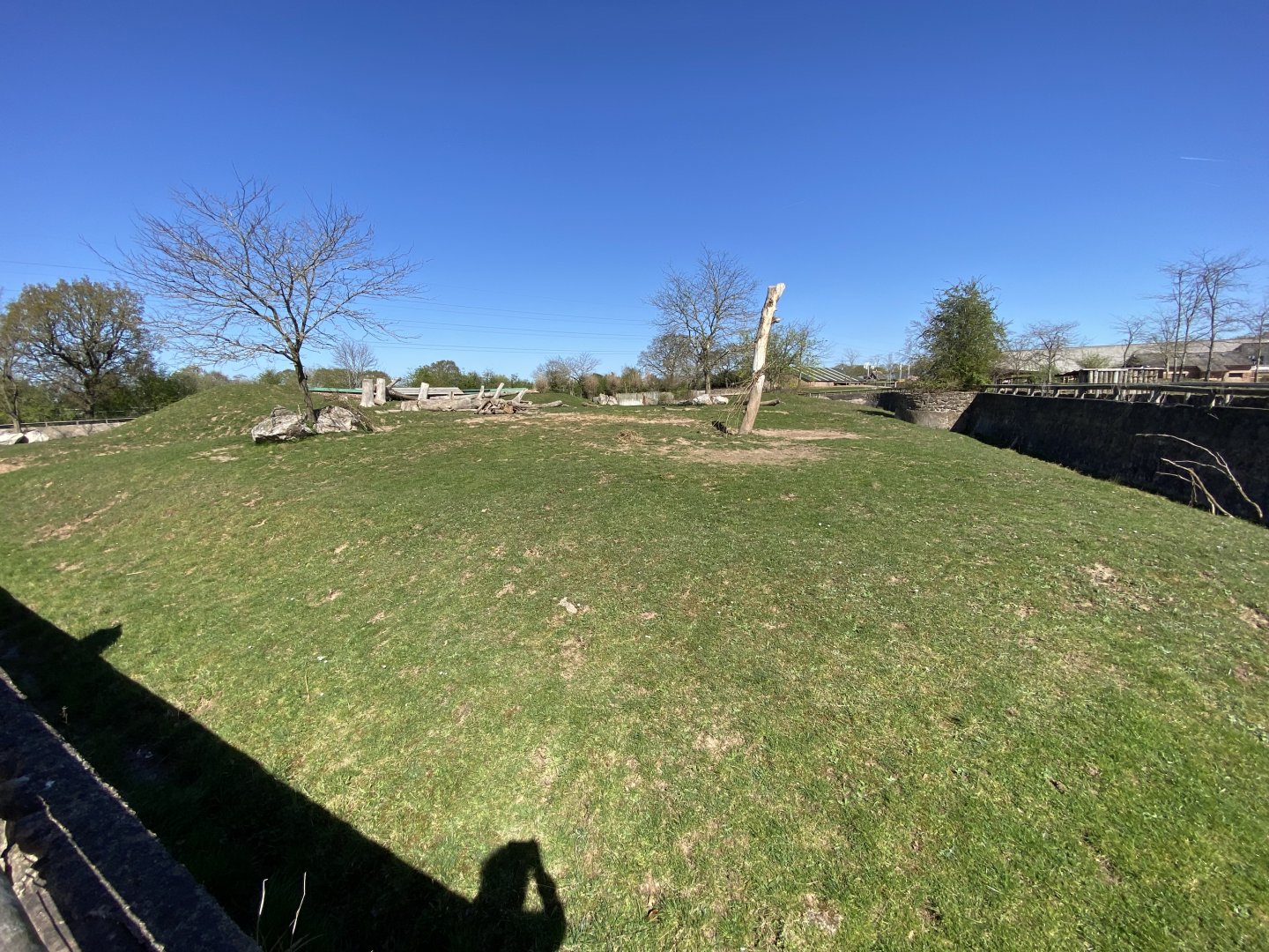 Black rhino enclosure