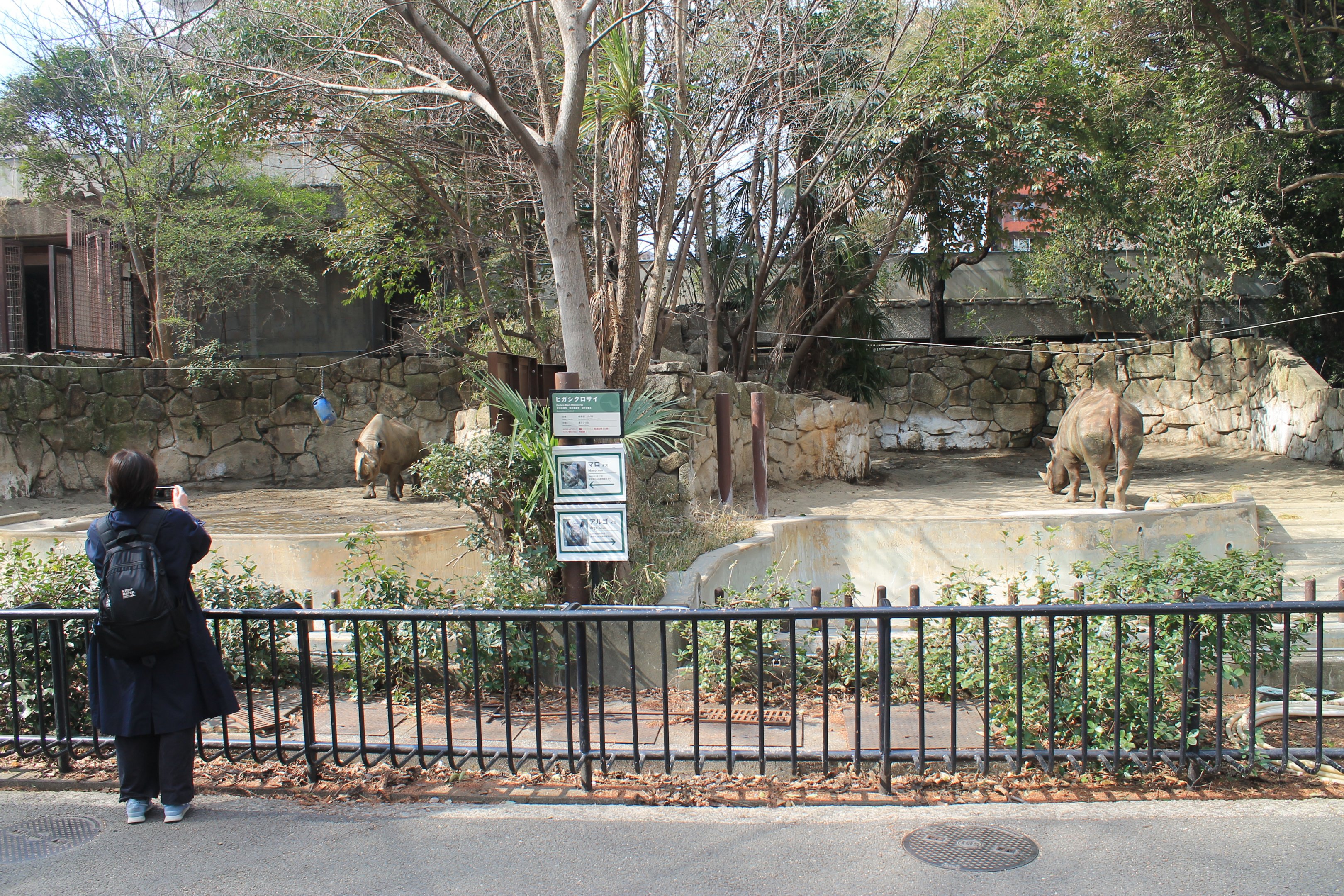Black Rhino enclosures