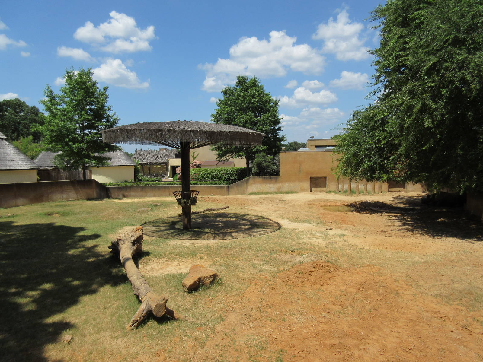 Black Rhino Exhibit #2