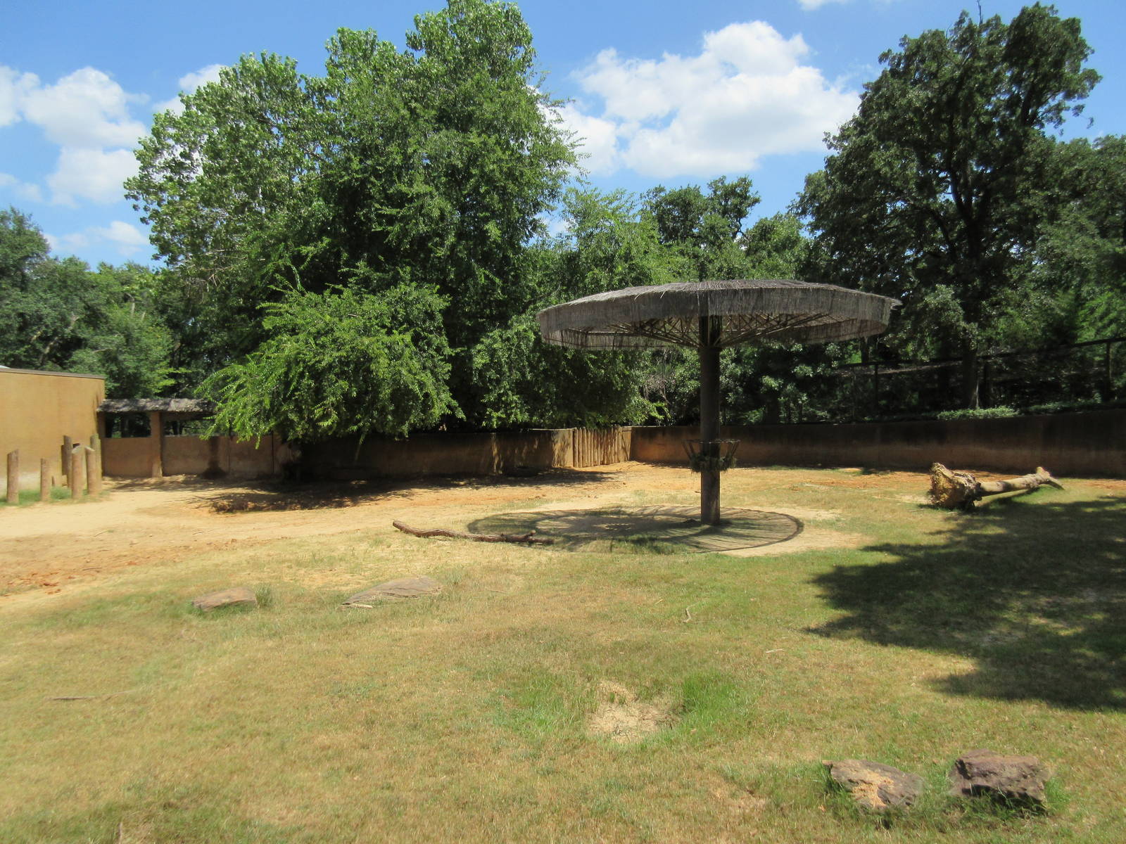 Black Rhino Exhibit #2