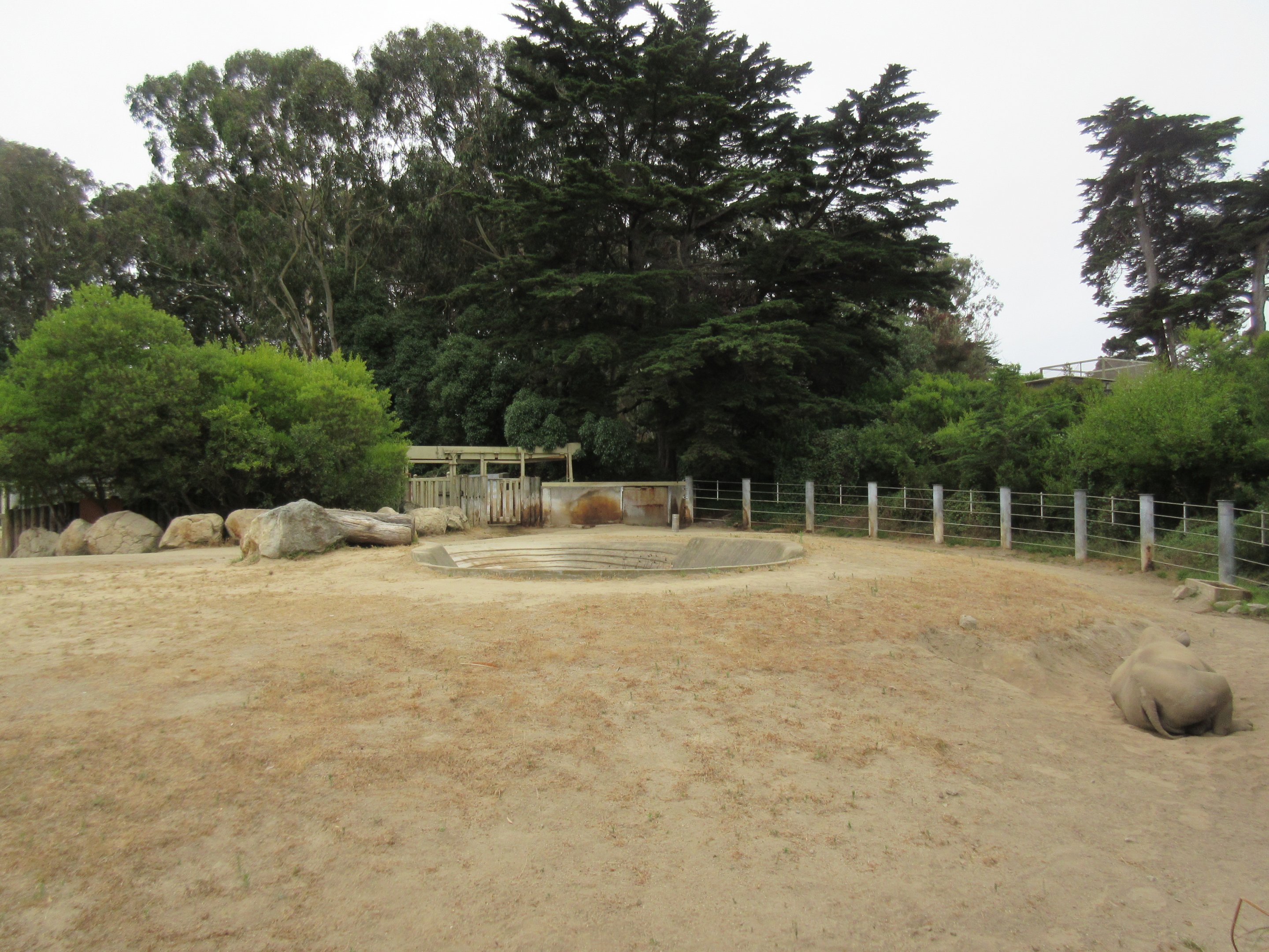 Black Rhino Exhibit (only a portion of entire enclosure)