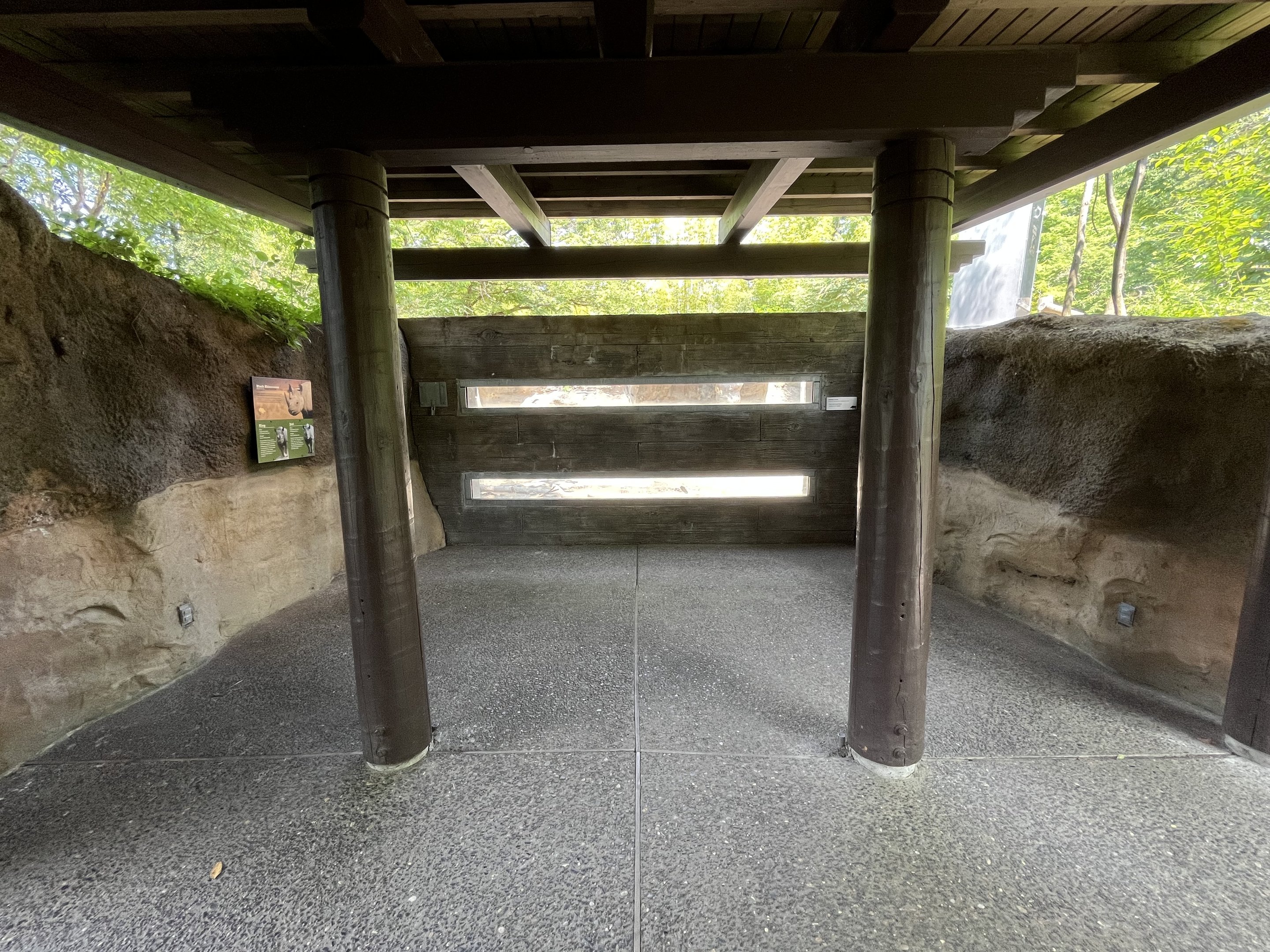 Black Rhino Exhibit - tiny viewing area
