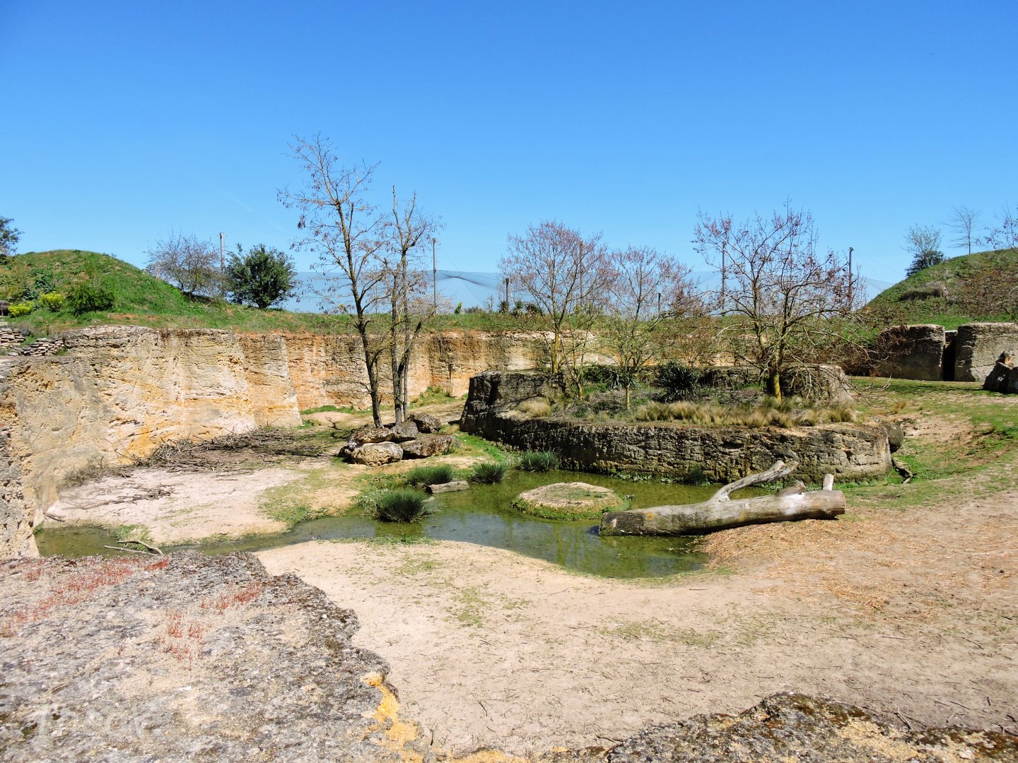 Black rhino exhibit - Vallée des rhinocéros [2015]
