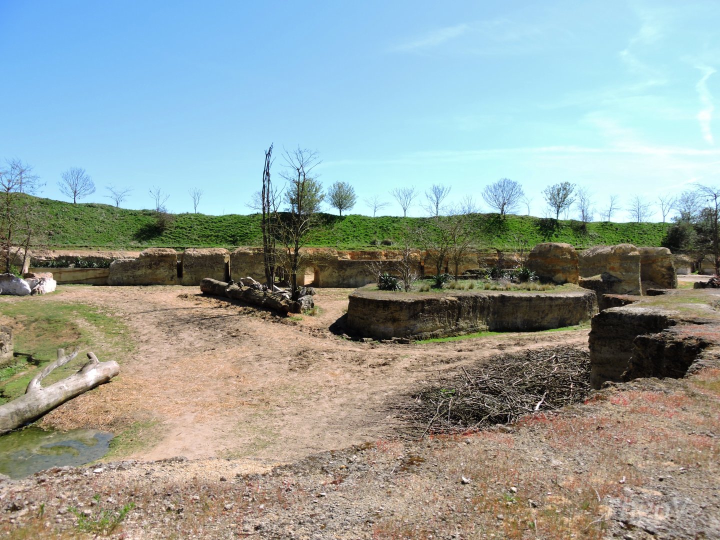 Black rhino exhibit - Vallée des rhinocéros [2015]