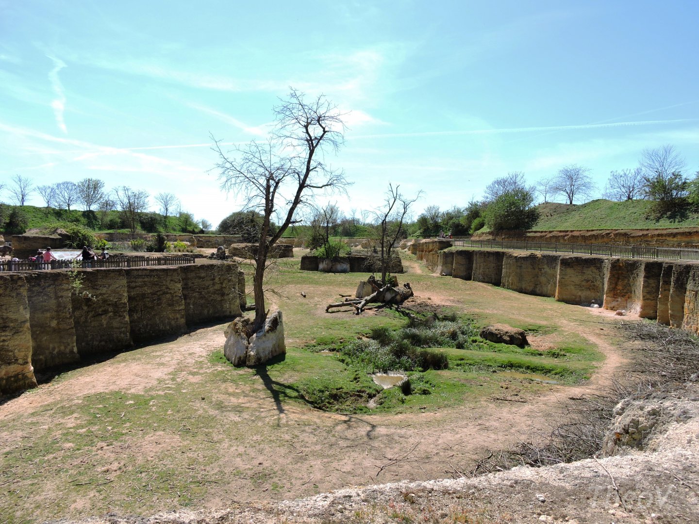 Black rhino exhibit - Vallée des rhinocéros [2015]